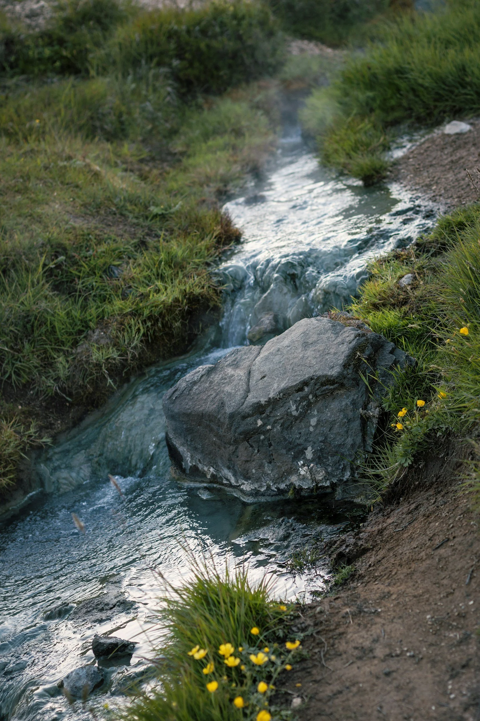 A small mountain stream flowing through grassy terrain with yellow flowers and rocks.