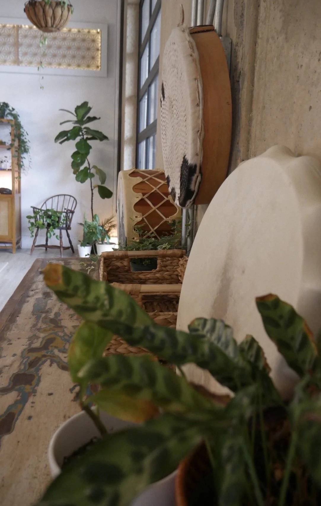 Interior of a cozy living space with plants, a woven basket, a chair, and natural decor elements.
