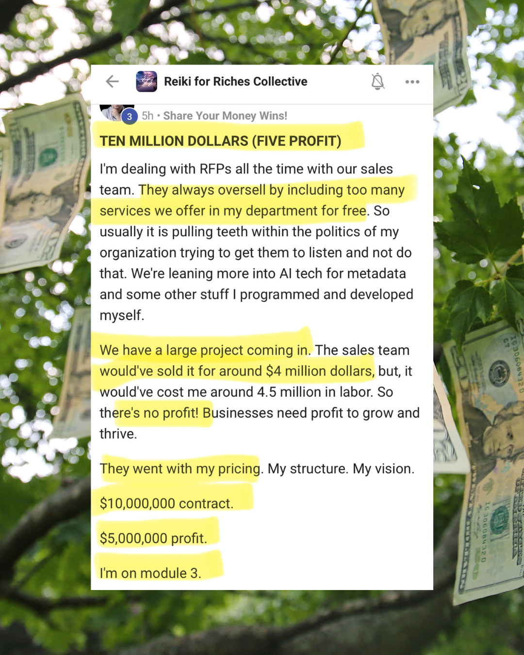 Screenshot of a Facebook post from Reiki for Riches Collective discussing a large project, profits, and pricing, with highlighted phrases about financial success and plans.