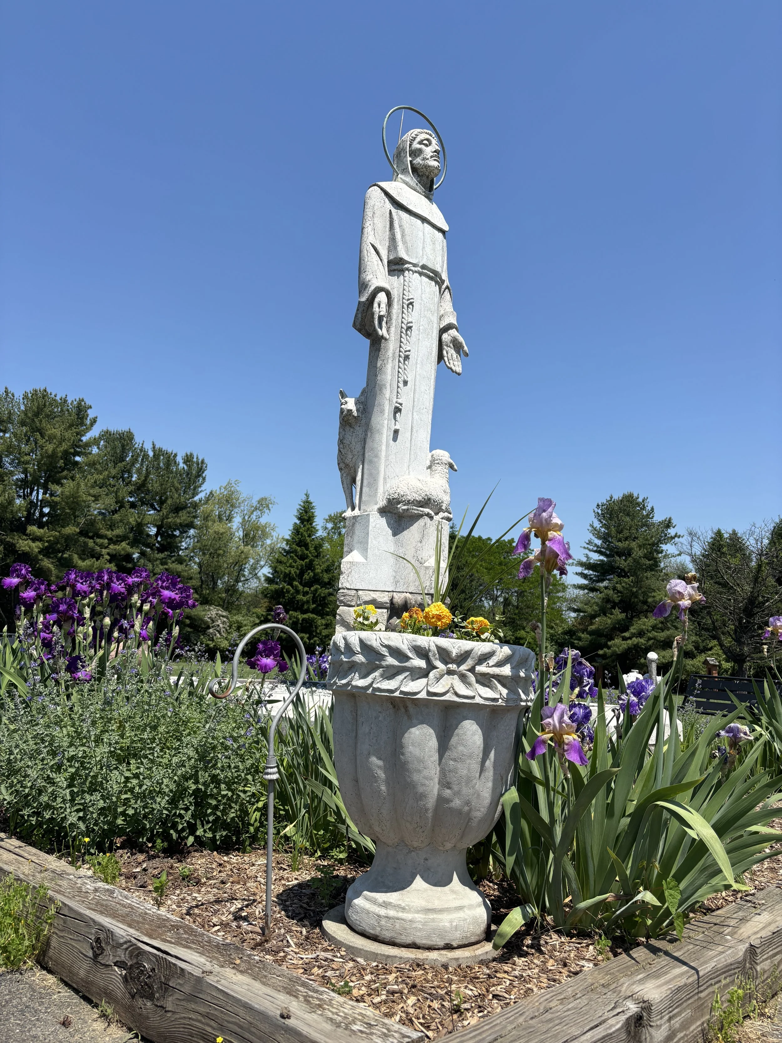 Statue of a saint with a halo, standing on a pedestal, surrounded by flowers and greenery on a sunny day.