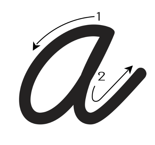 Cursive’s Comeback: What Brain Science Actually Says