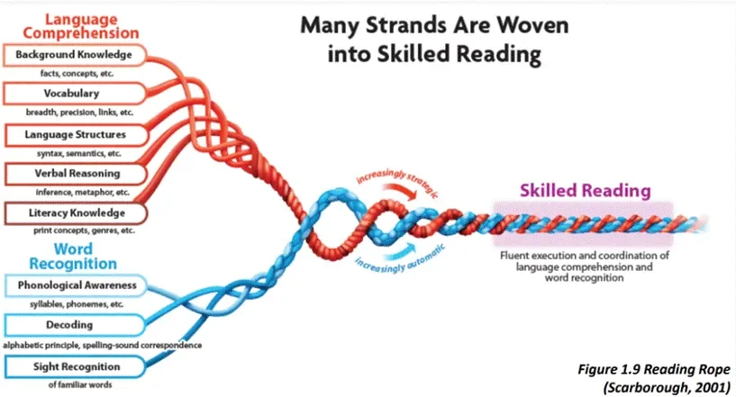 Everything Is Connected: How Scarborough’s Reading Rope Ties It All Together