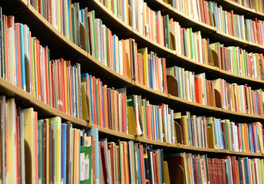 Mirrors, Windows, and Sliding Glass Doors: Why Representation in Books Matters for Every Child