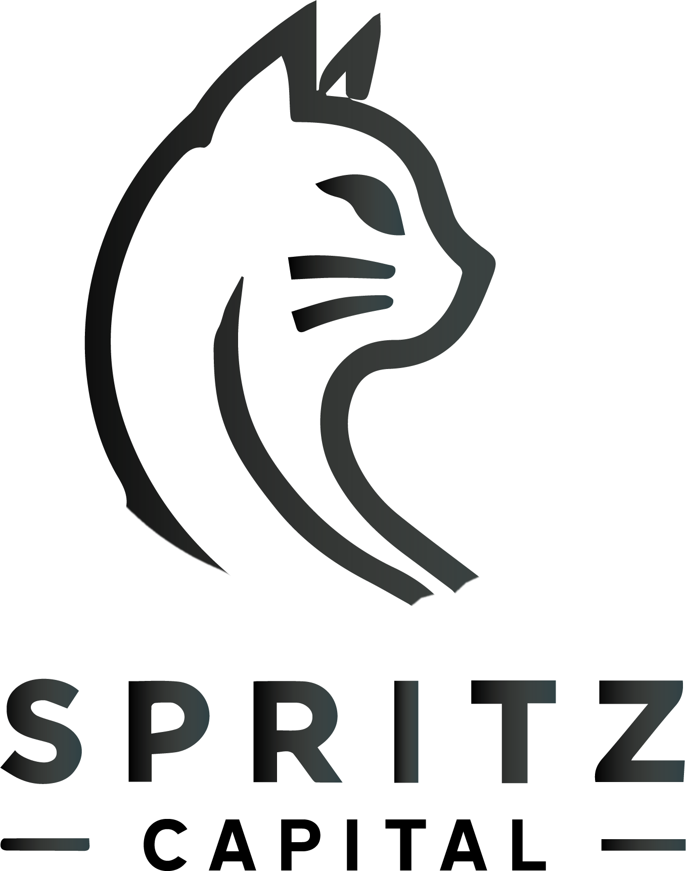 Spritz Capital - Calgary's SR&amp;ED Tax Credit Experts