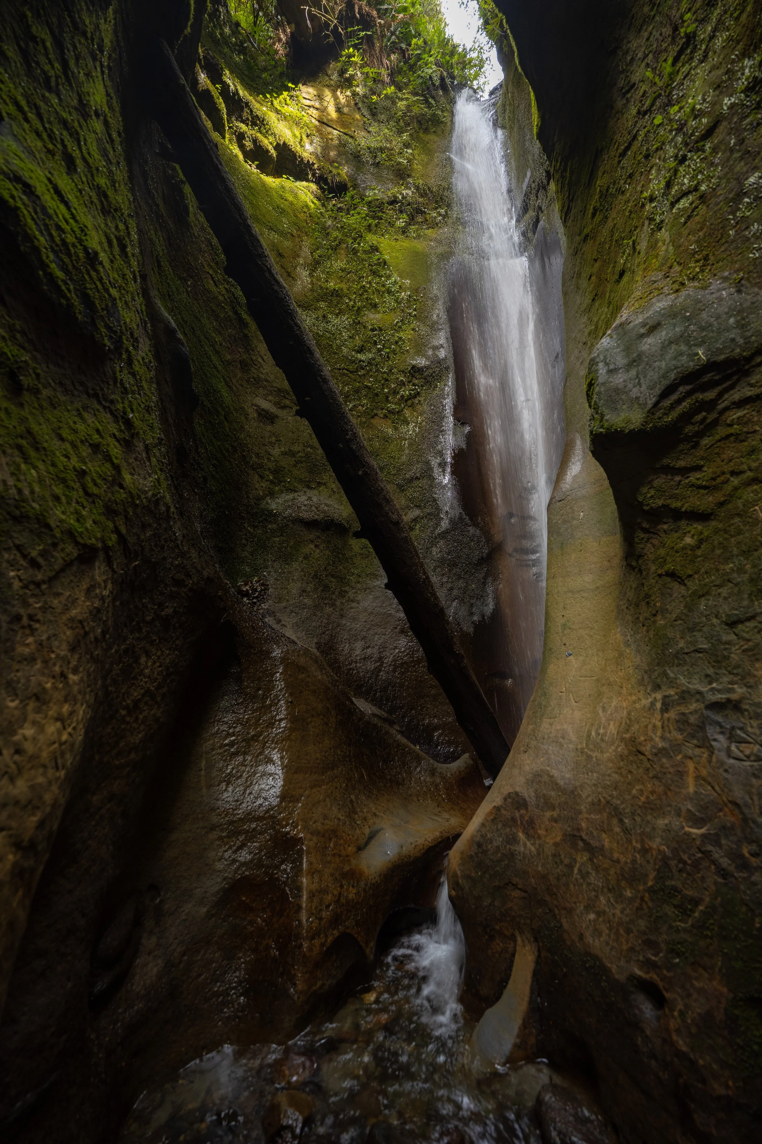 DSC_2847j.jpg