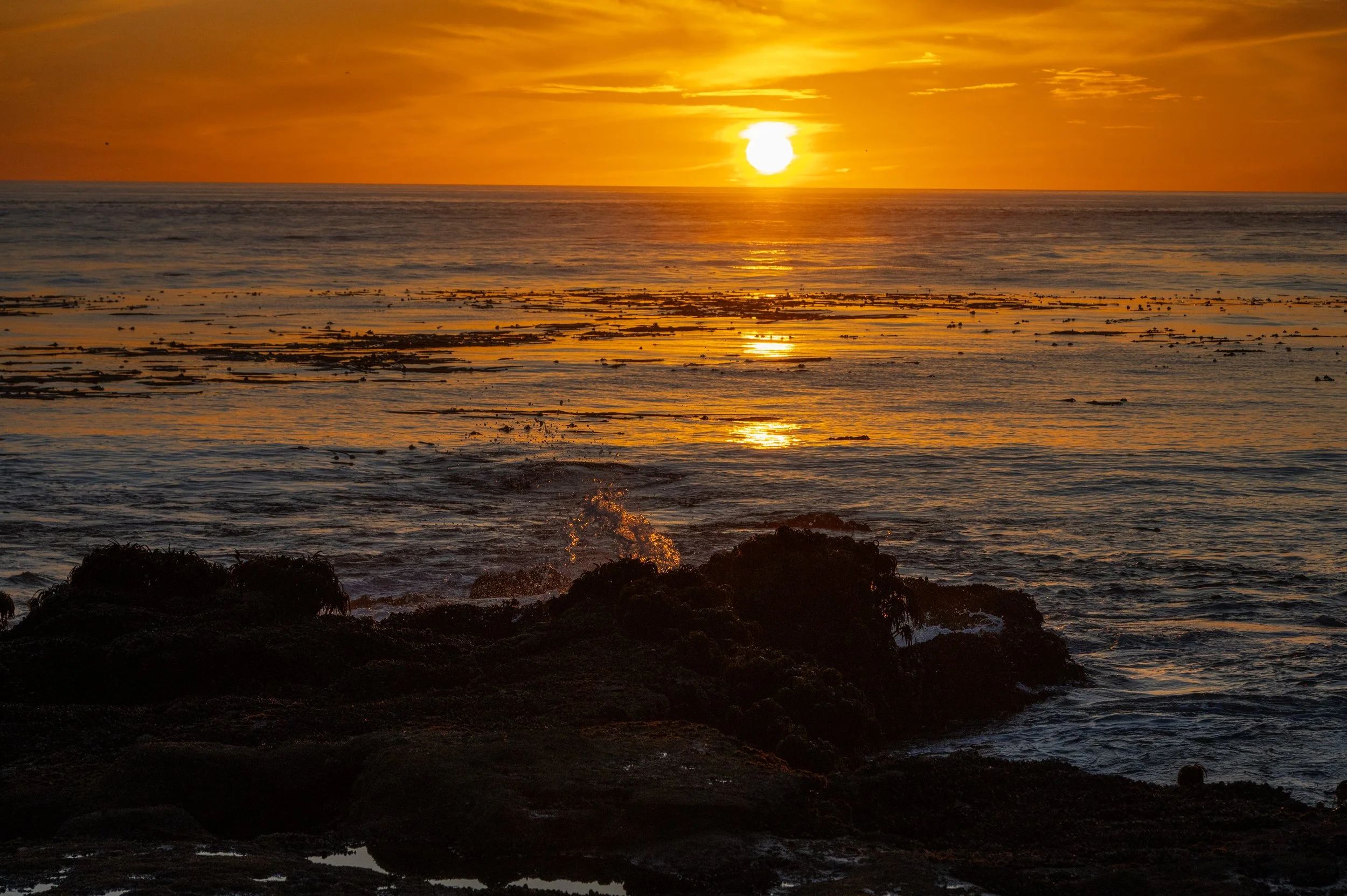 DSC_3261j.jpg