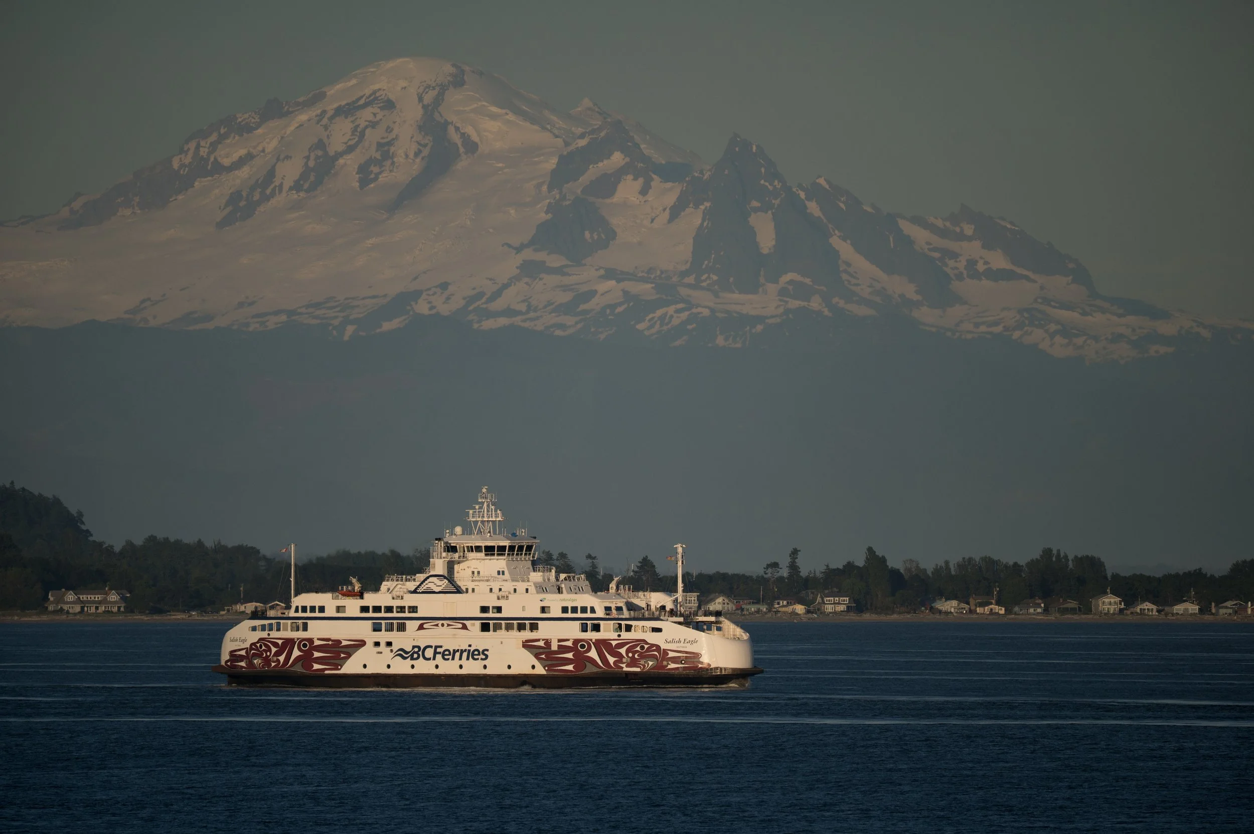 DSC_3159j.jpg