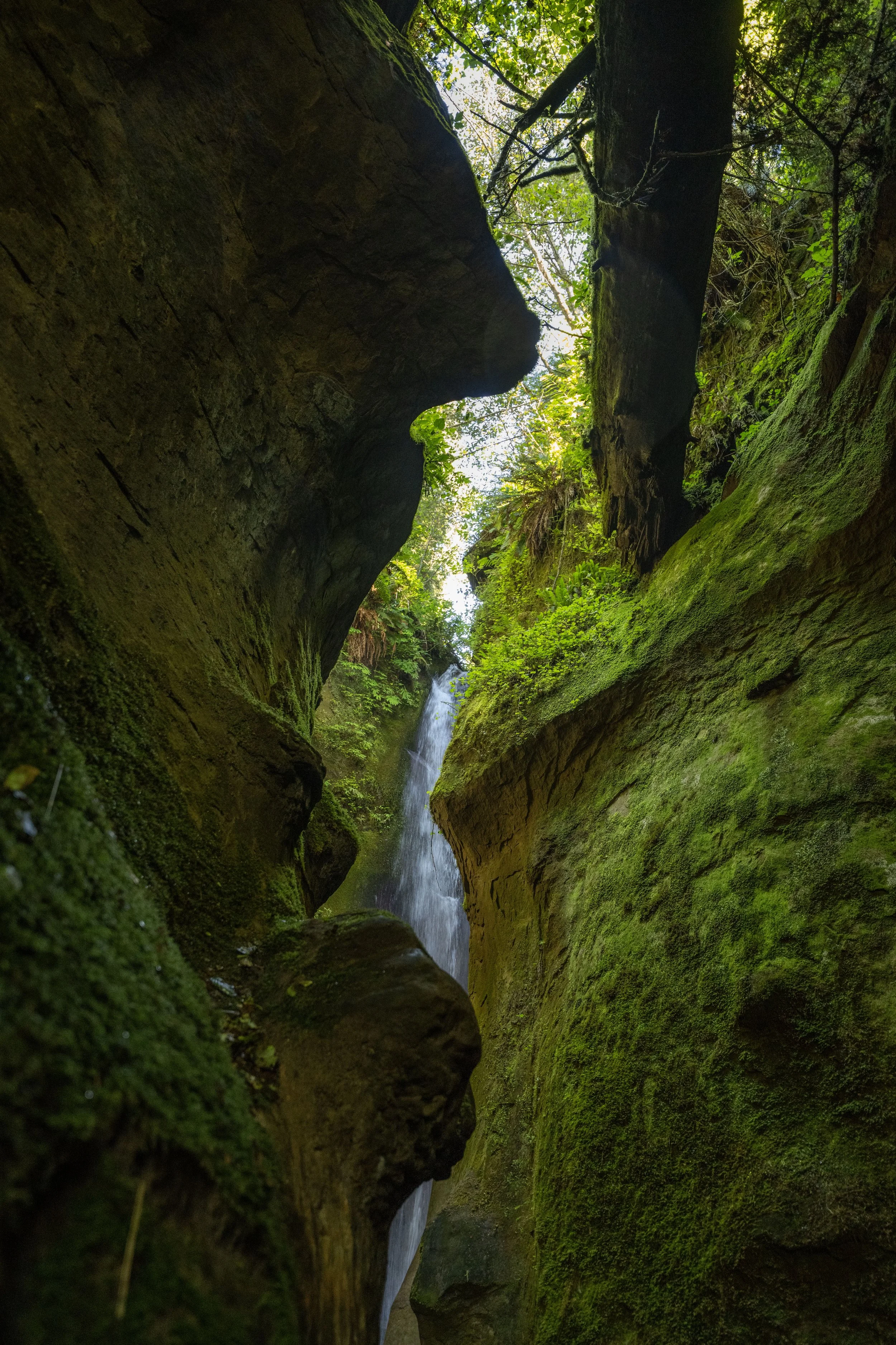 View of a narrow, moss-covered canyon with a waterfall flowing down the rocks, lush green vegetation, and sunlight filtering through the trees at the top.
