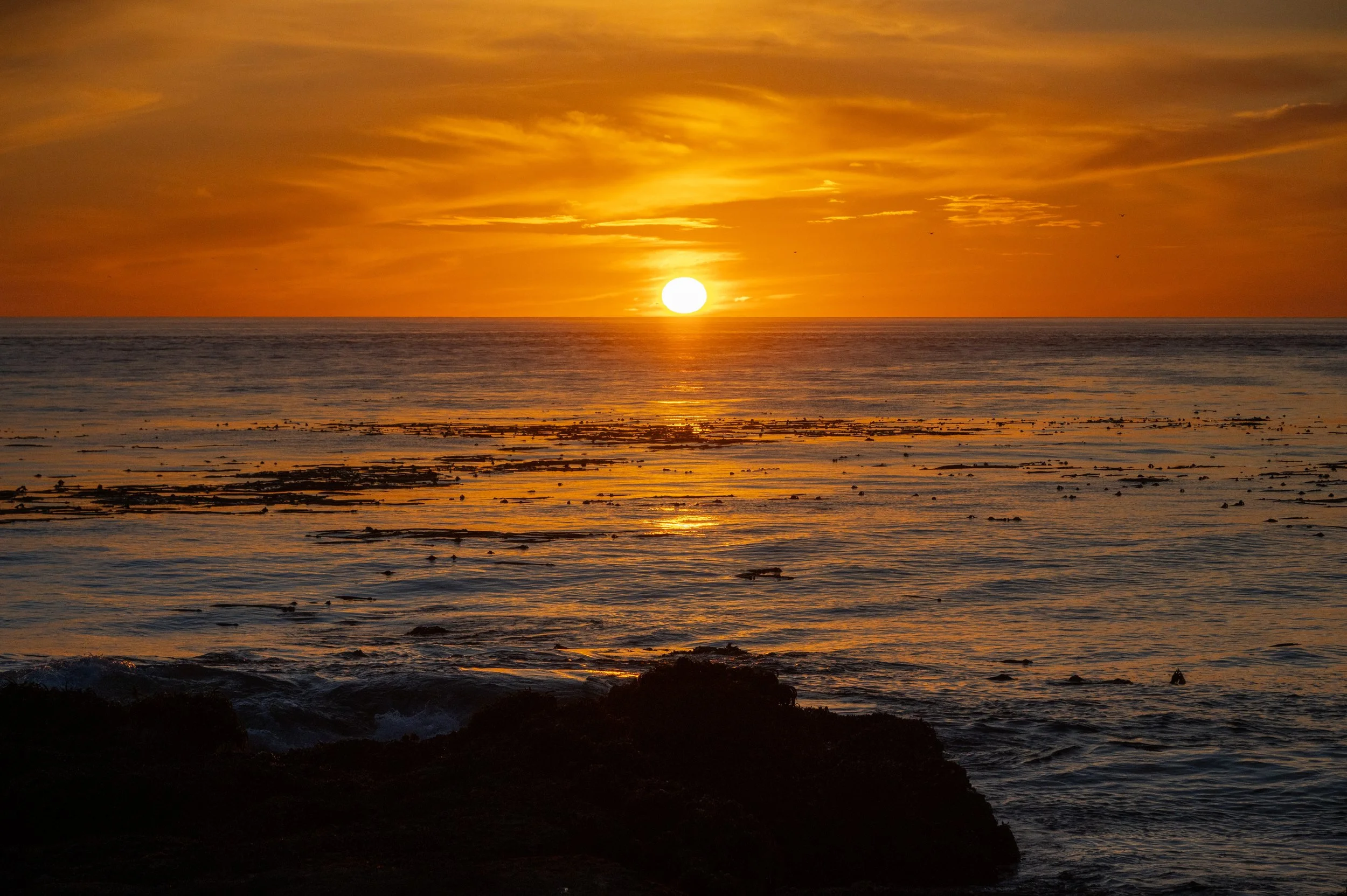 DSC_3265j.jpg