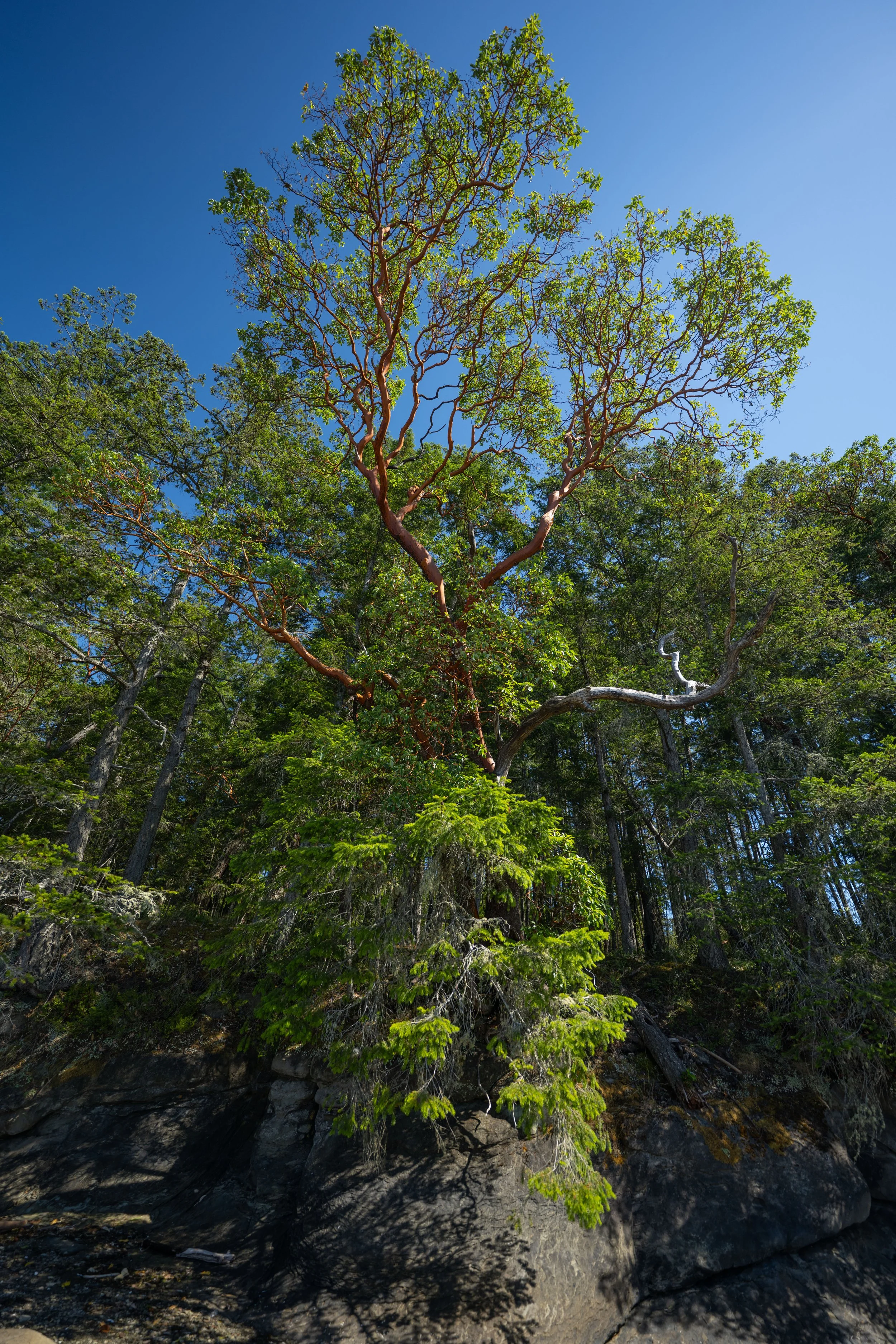 DSC_1719j.jpg