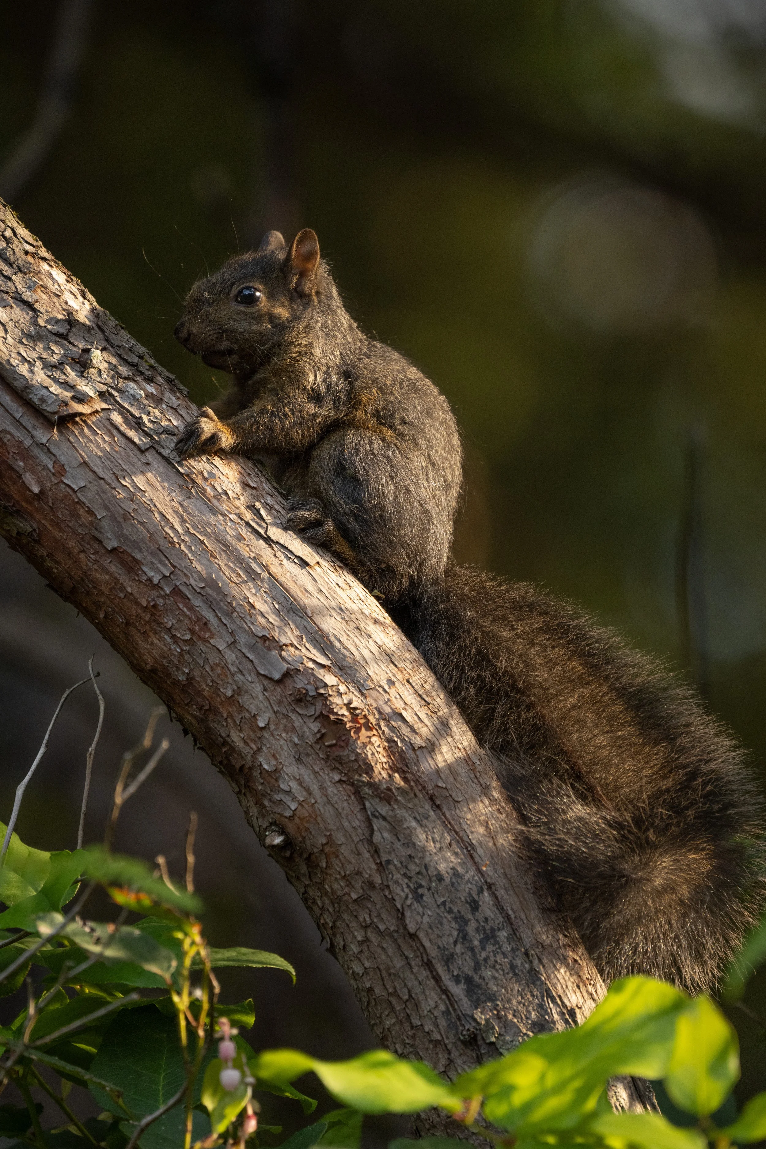 DSC_1108j.jpg