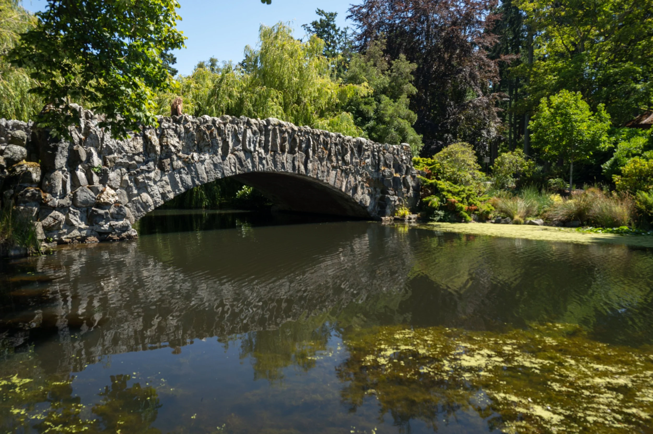 A stone bridge over a pond surrounded by lush green trees and plants on a bright, sunny day.