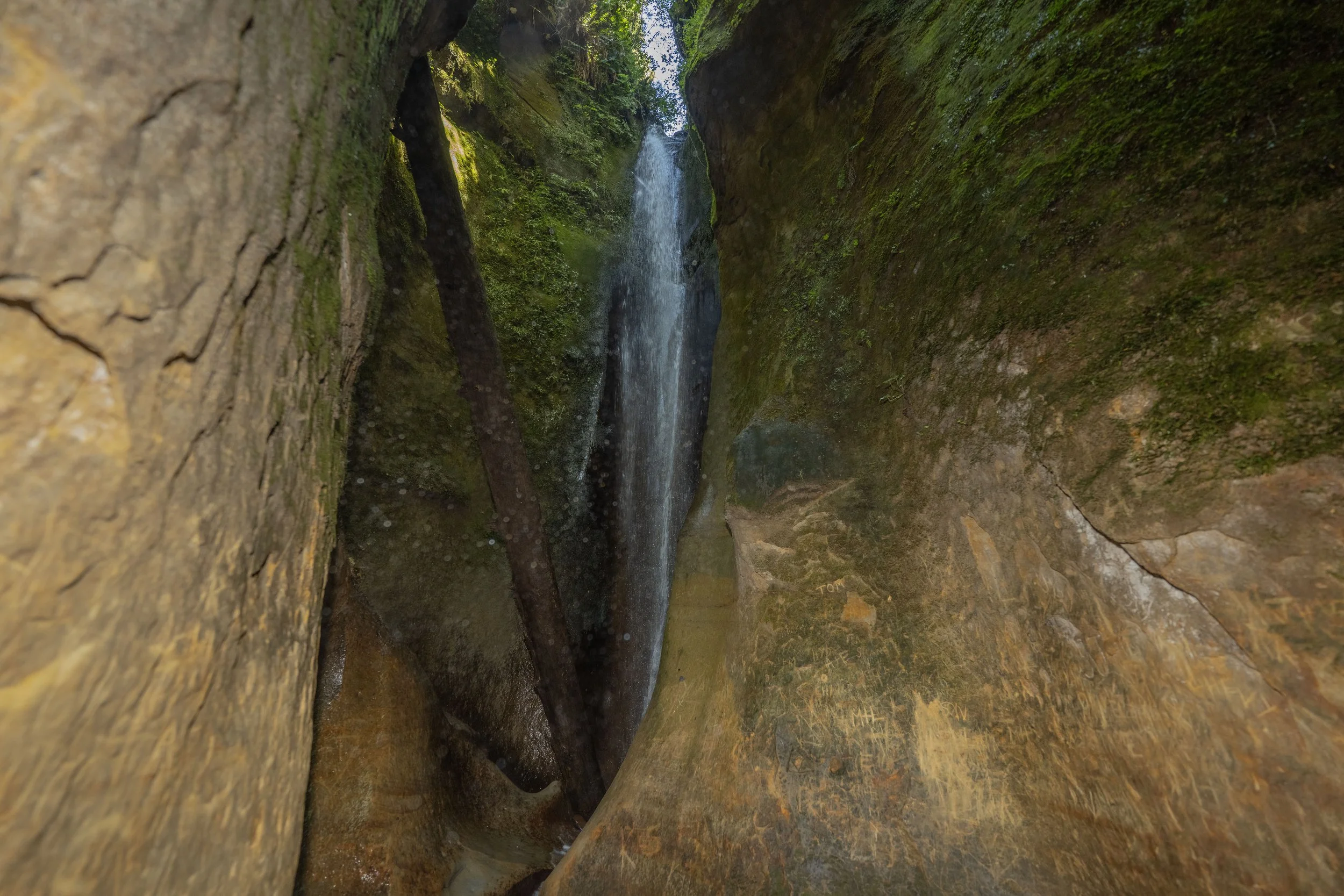 View of a narrow canyon with moss-covered rocks and a small waterfall flowing between the cliffs, with trees and sunlight visible at the top.