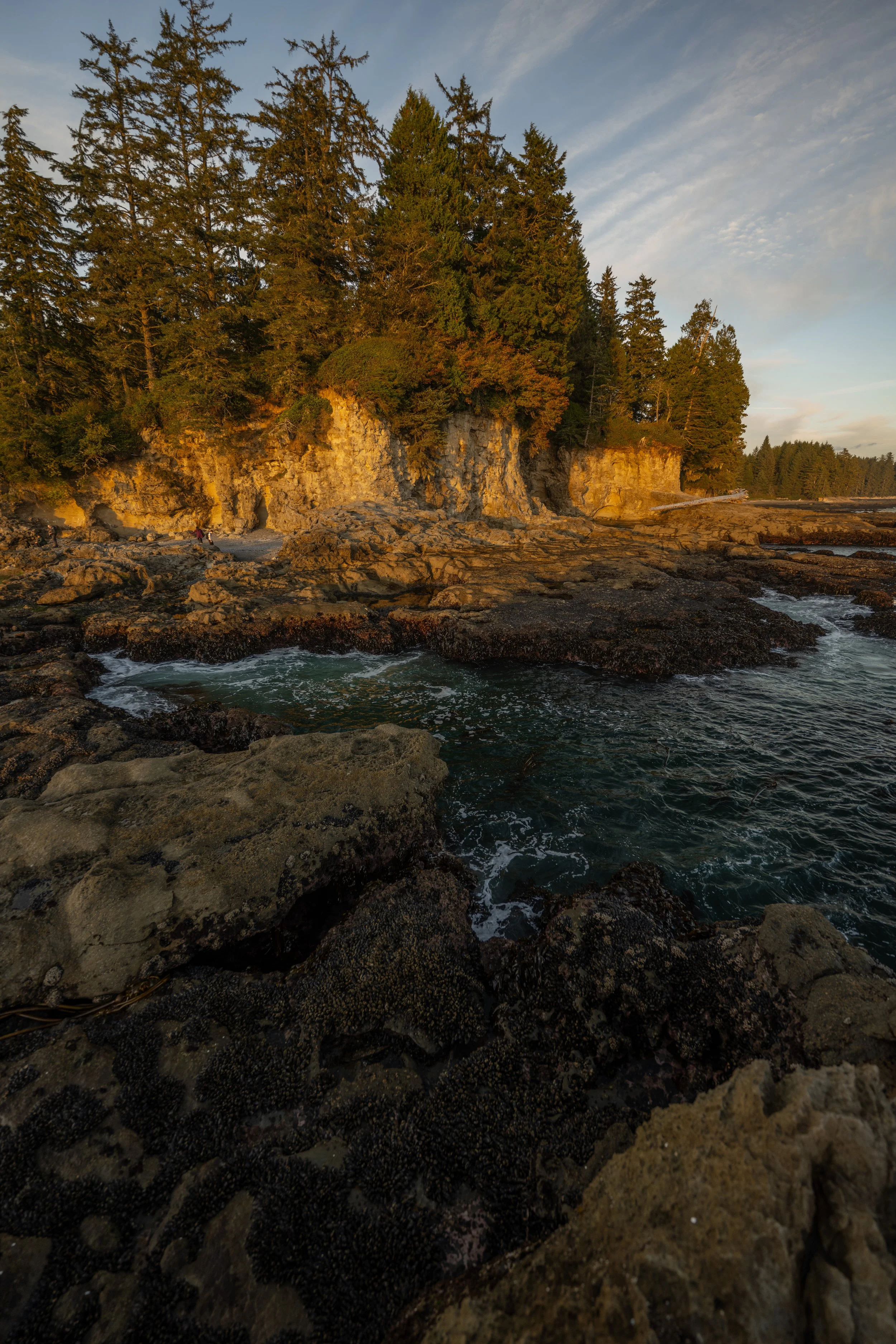 DSC_2911j.jpg