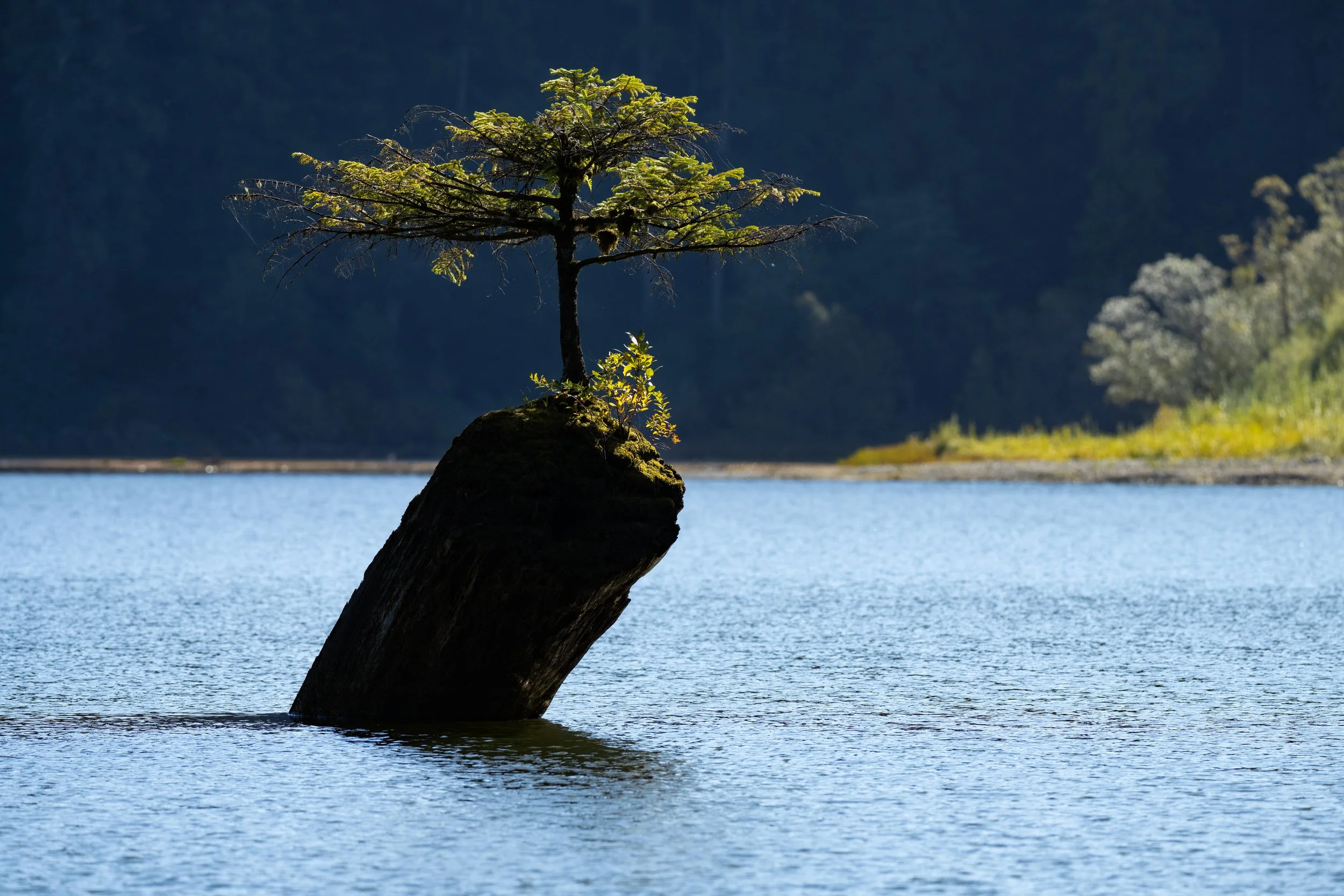DSC_2958j.jpg