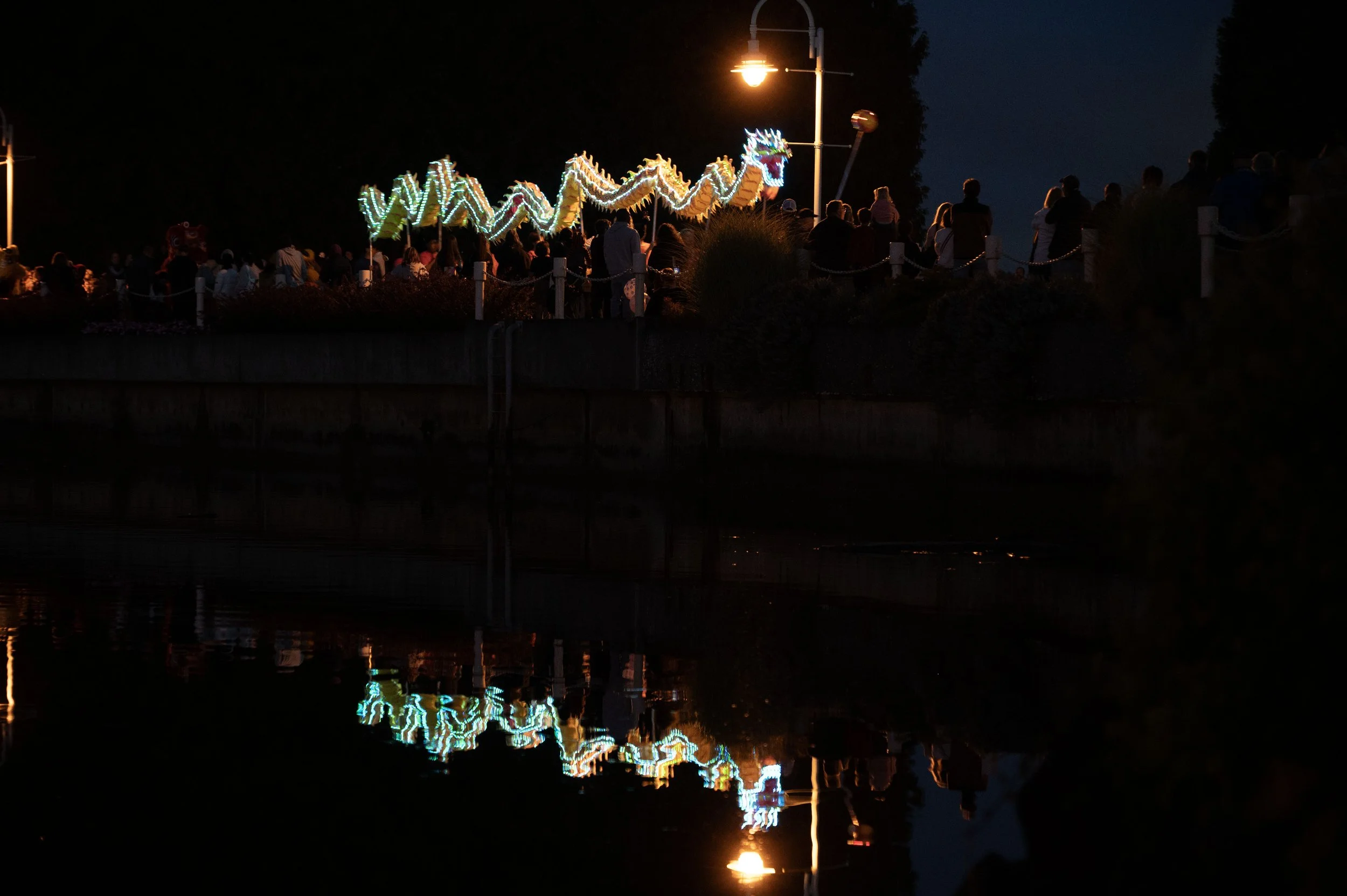 A night scene with a string of illuminated dragon lanterns and a crowd of people observing. The dragon has vibrant colors with bright lights, and its reflection can be seen in the water below. Street lamps illuminate the area.