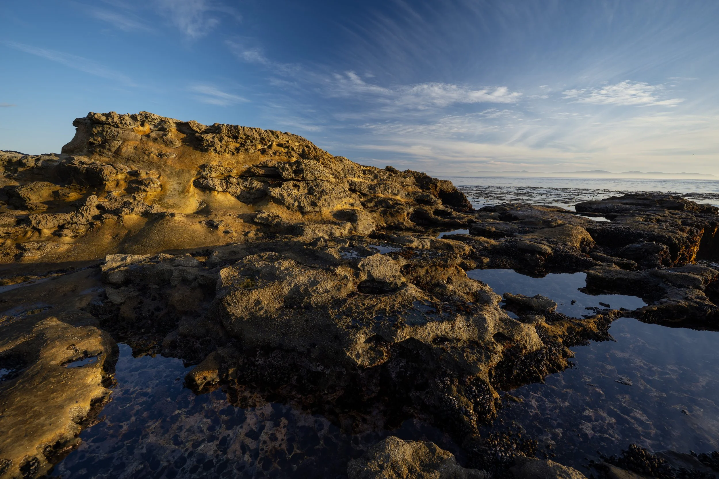 DSC_2865j.jpg