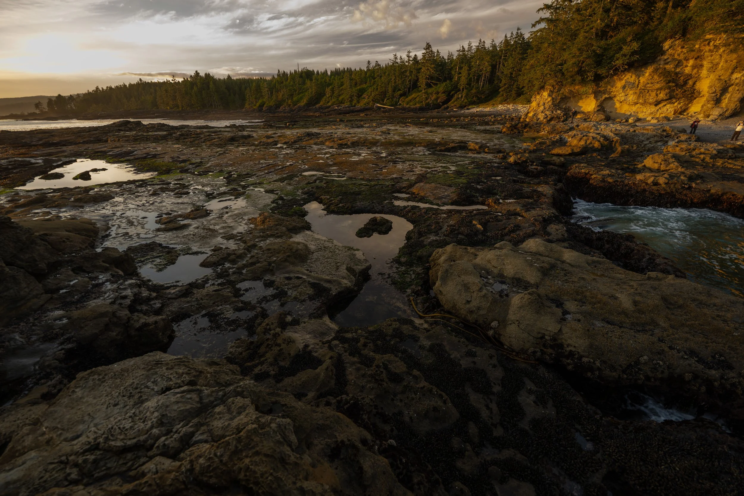 DSC_2914j.jpg