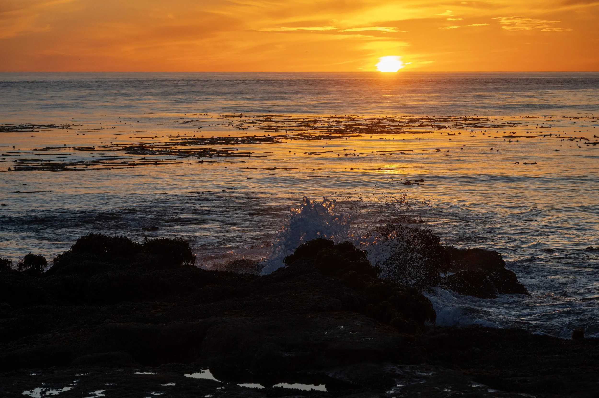DSC_3281j.jpg