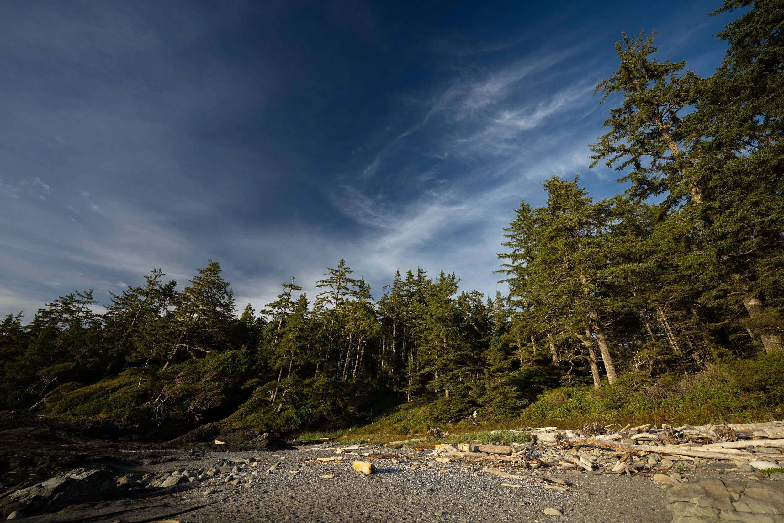 DSC_2858j.jpg