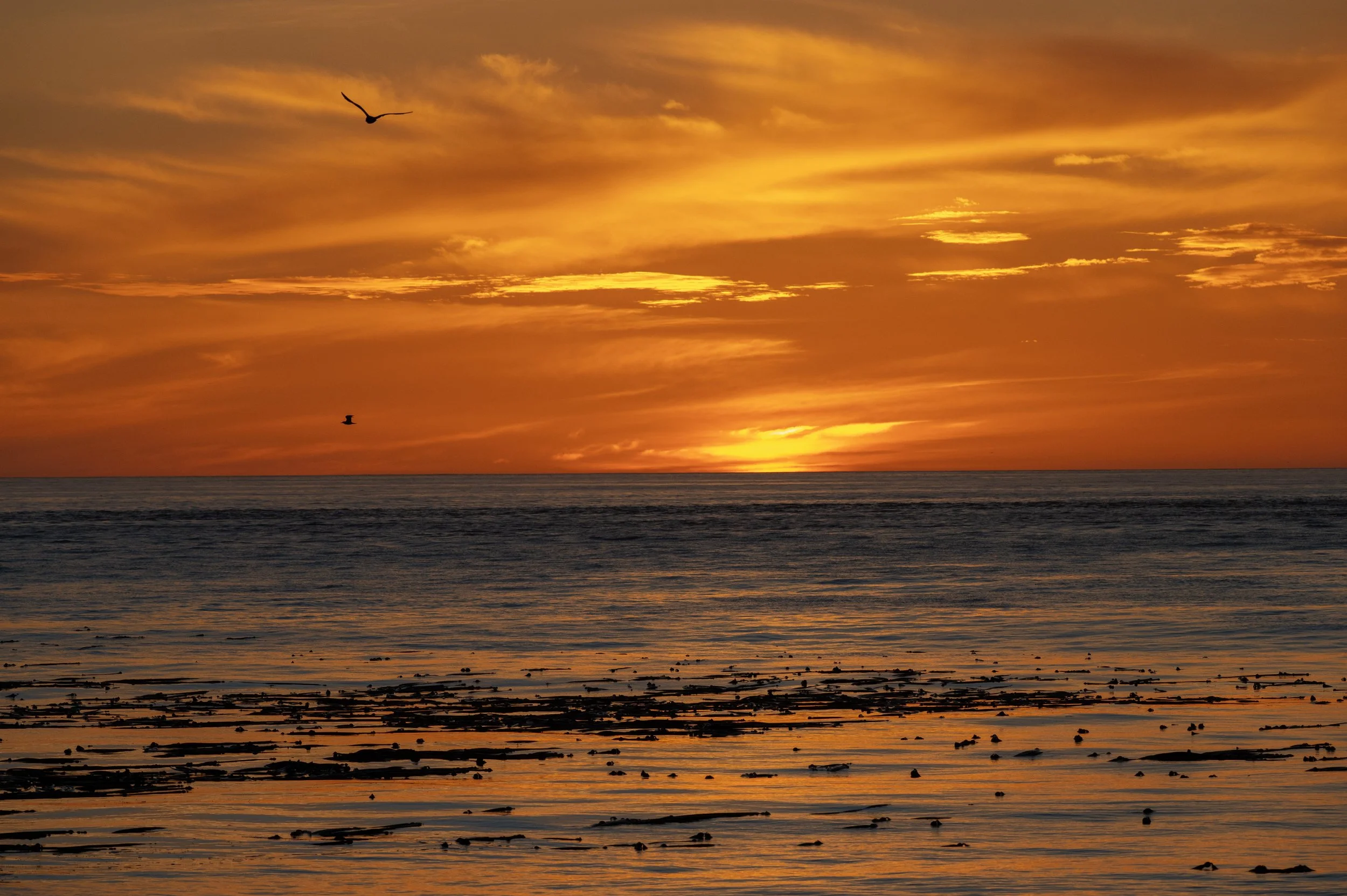 DSC_3307j.jpg