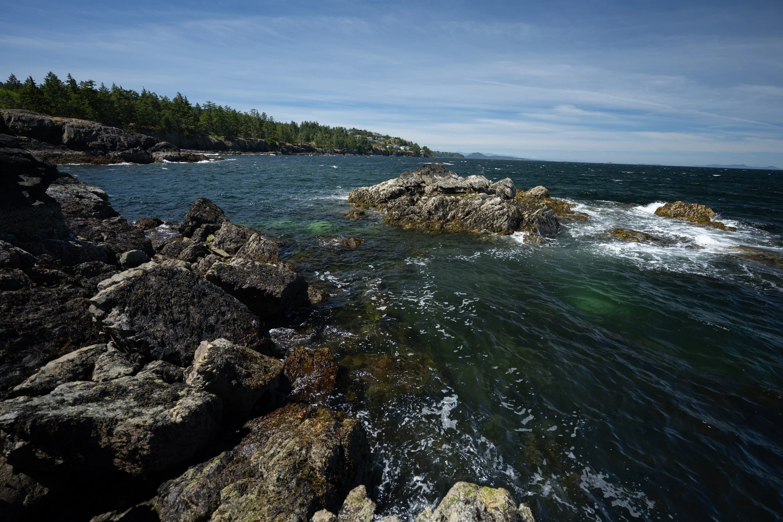 DSC_0832j.jpg