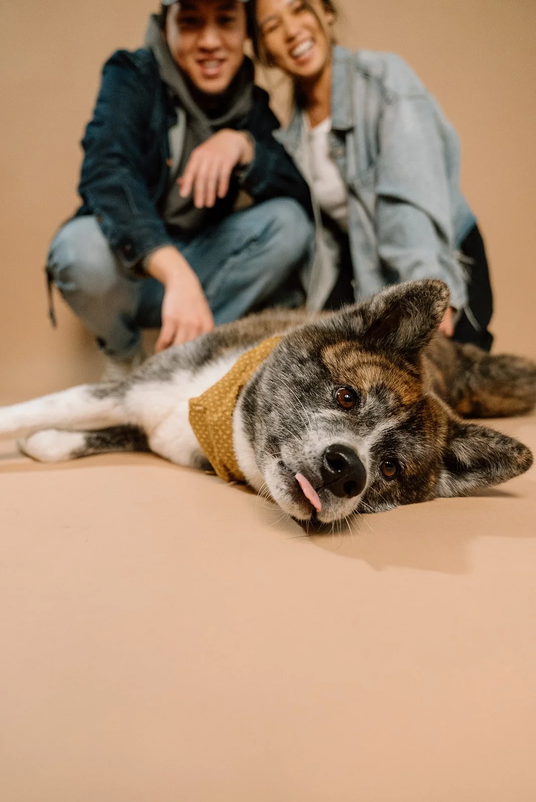 A cute dog lying on the floor with its tongue out, wearing a yellow bandana, and two people squatting behind it, smiling and having fun.