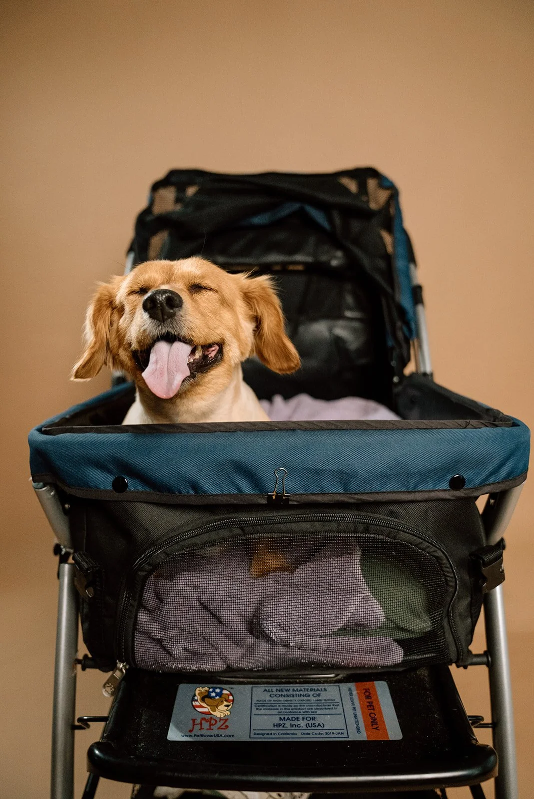 A happy dog with eyes closed and tongue out sitting in a pet stroller with a backpack behind, against a plain wall.