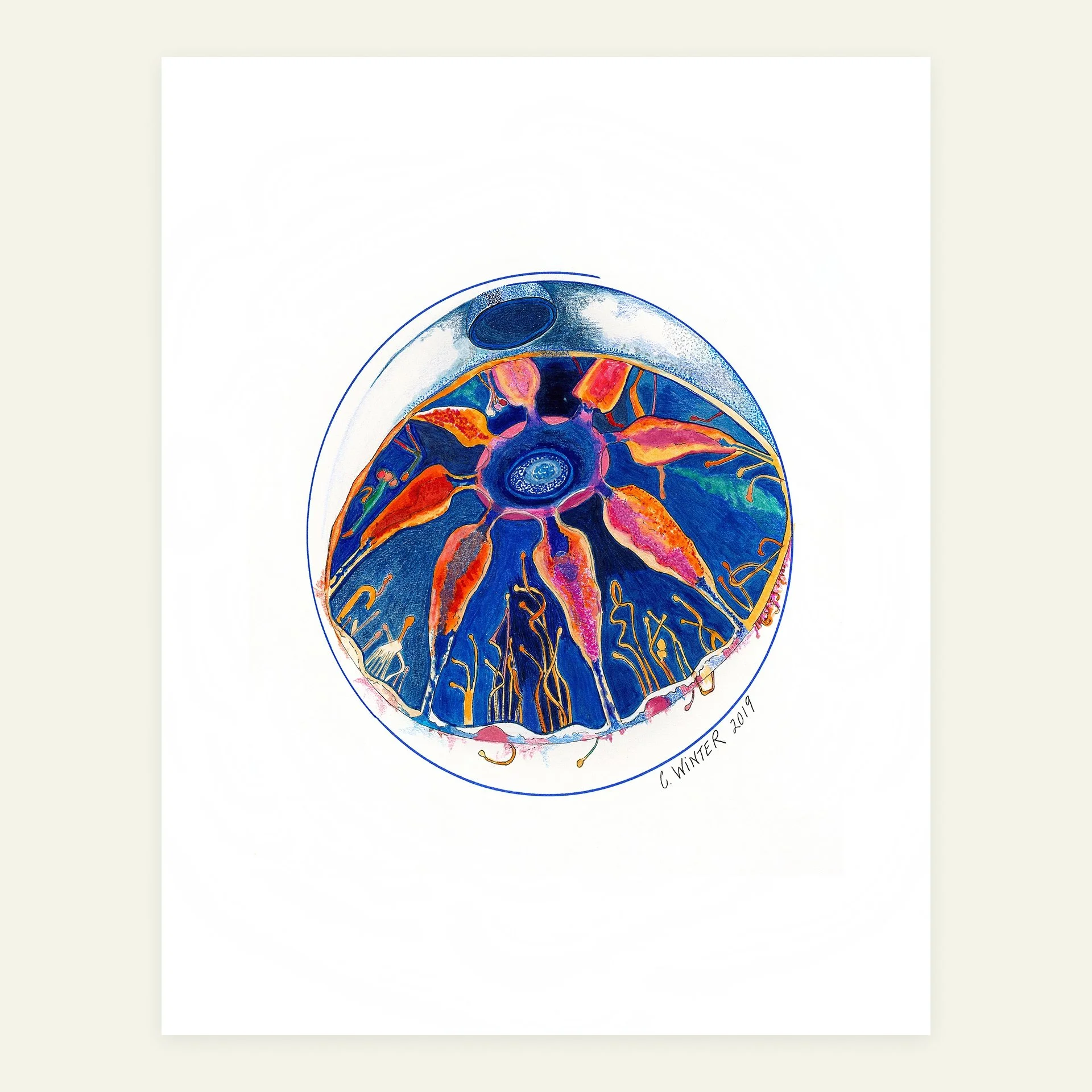 Luminous Single-Celled Ocean Creature