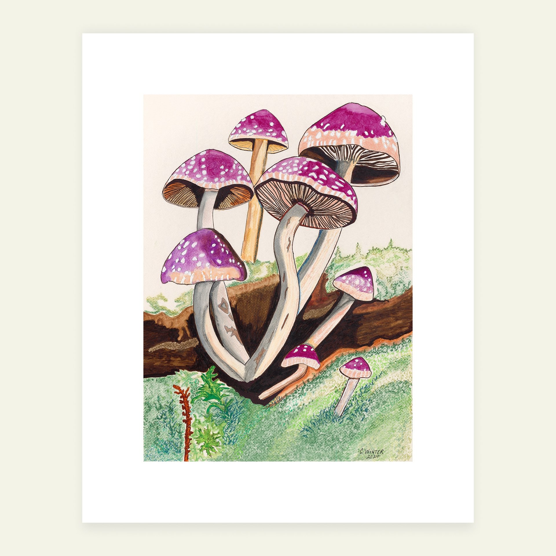 Mushroom Family