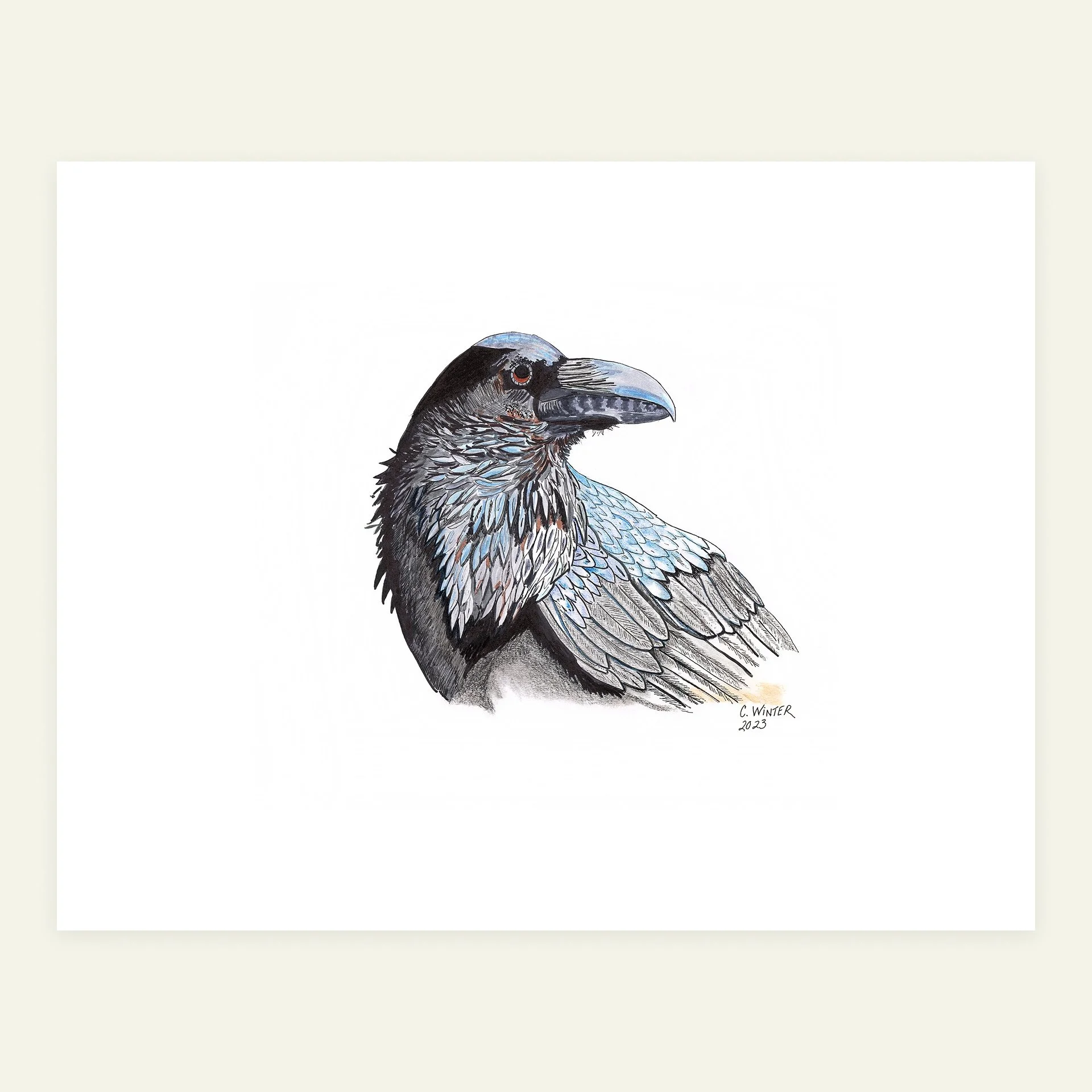 Alert Raven
