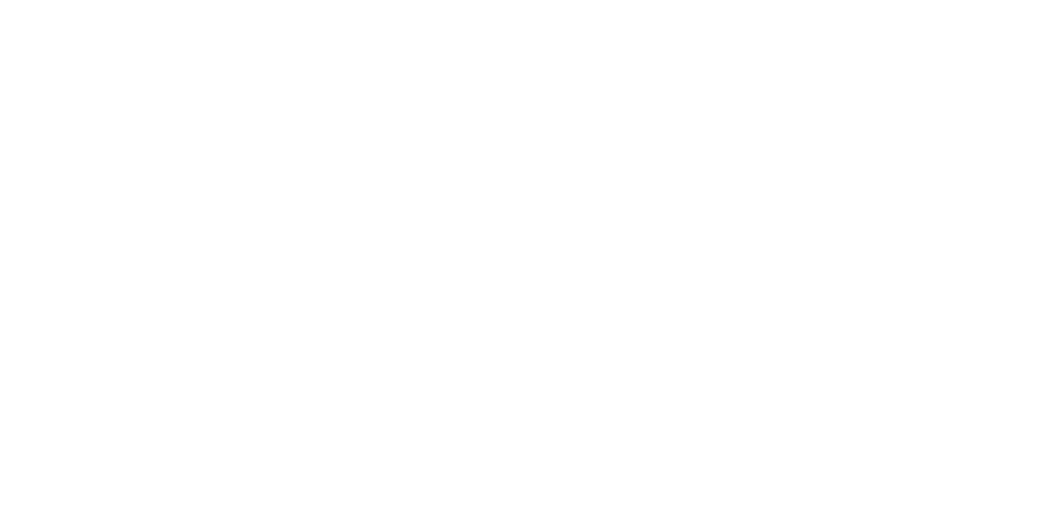 The Bay Ridge Digest