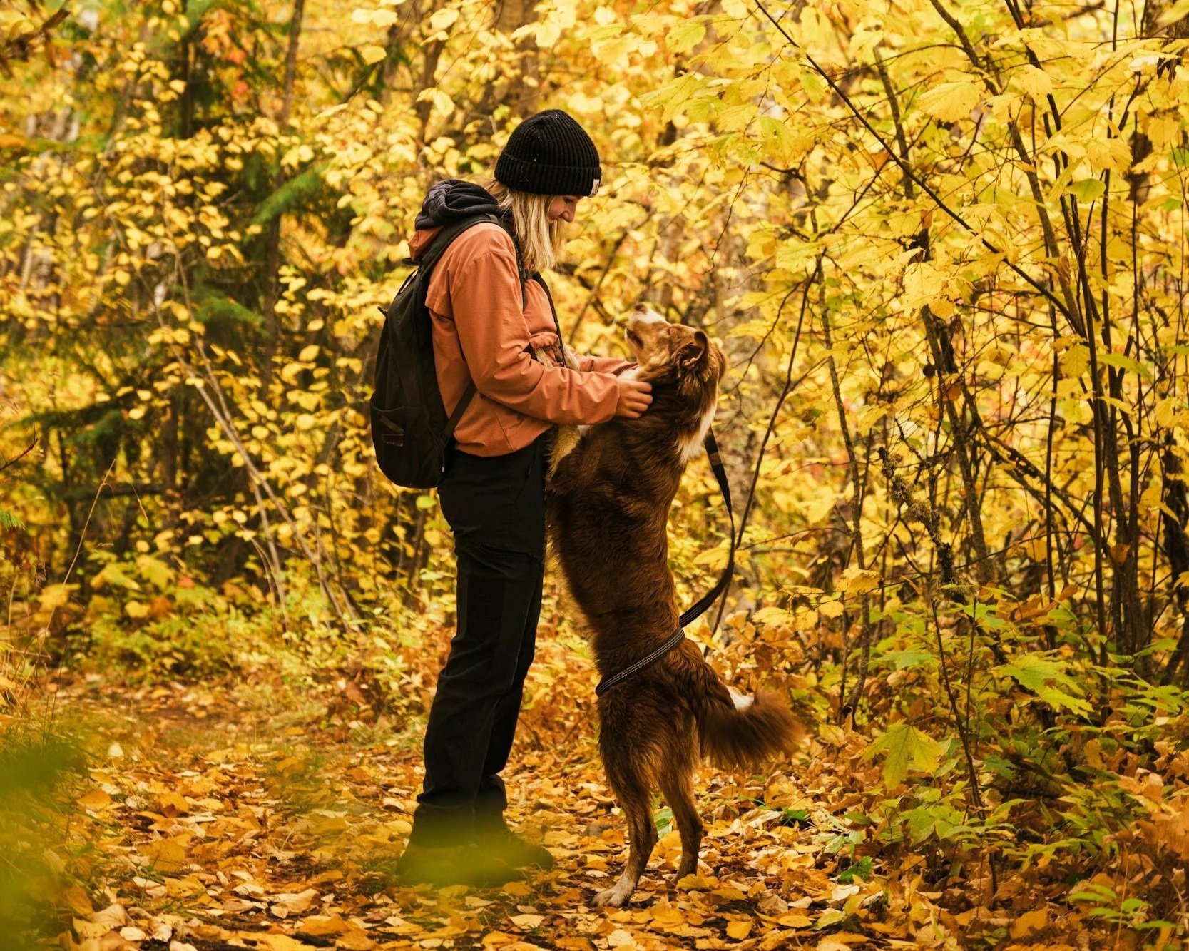 A girl in her twenties on a hike with her dog in dense fall foliage.