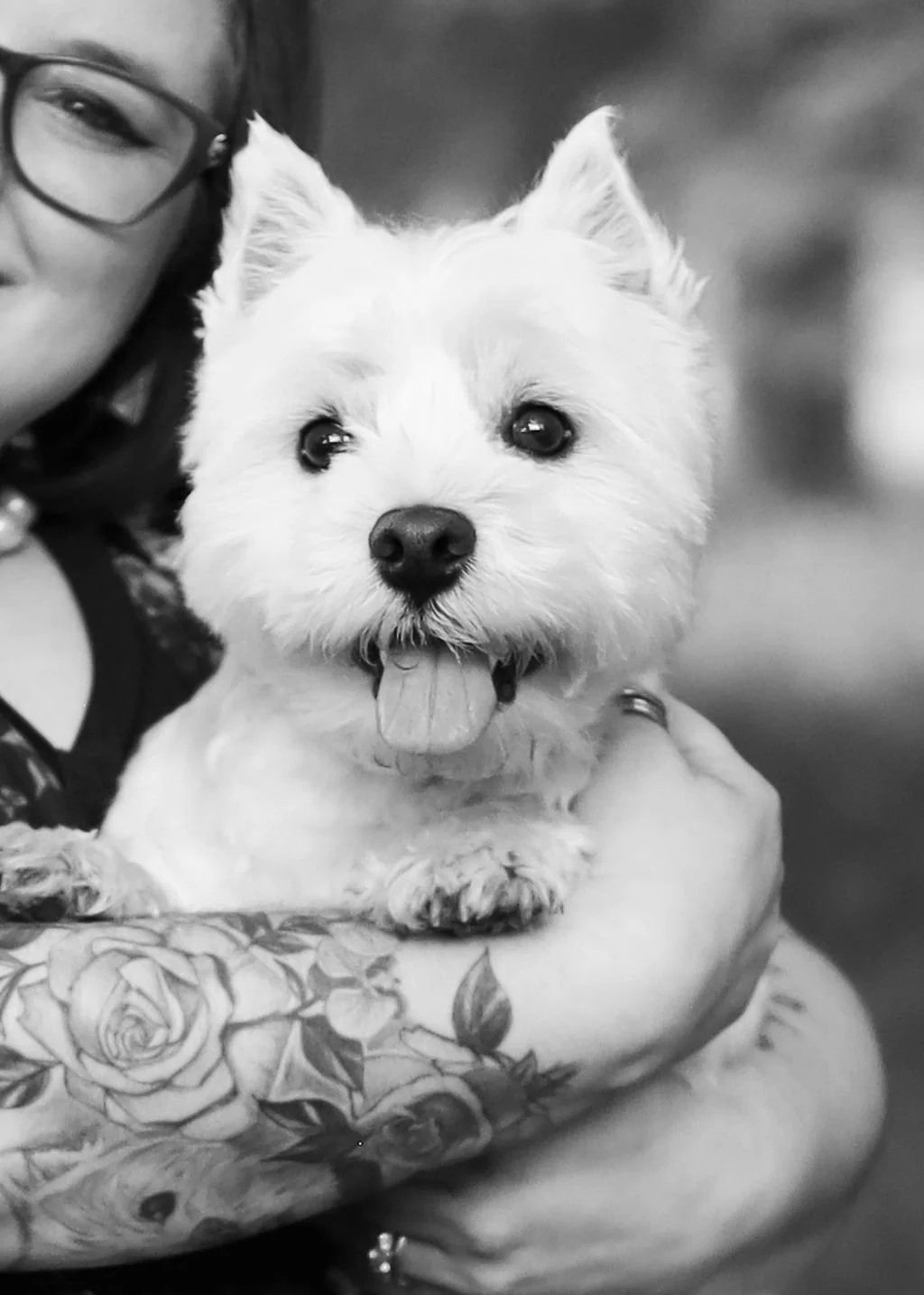 Westley headshot with Jessica Allen LCSW in the background. Therapy Dog in Training.