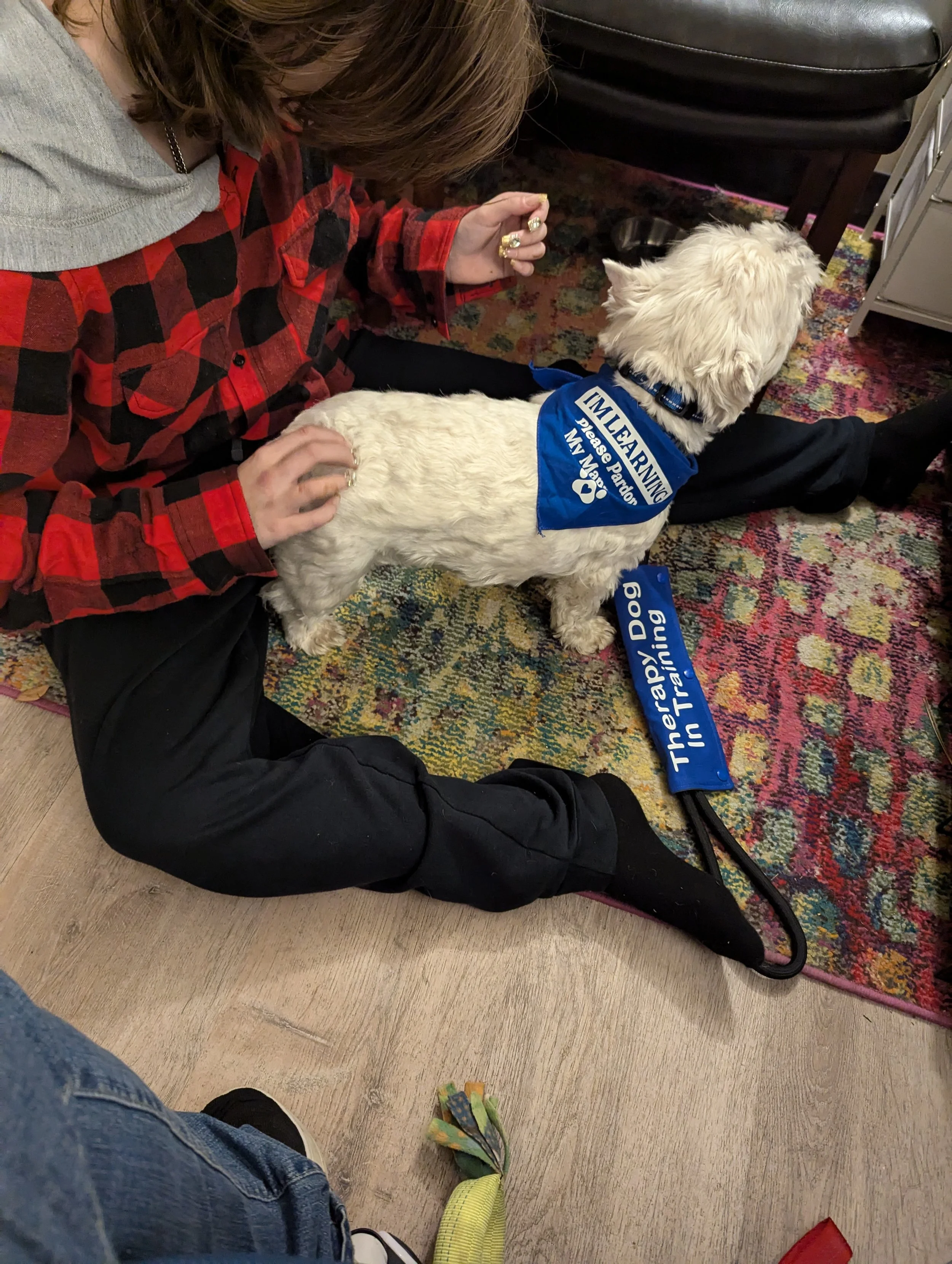 A woman sitting on the floor with a white dog wearing a blue bandana that reads, 'Therapy Dog in Training. Please Pardon My Manners.' The woman is wearing a red and black plaid shirt with a light gray hoodie and has long brown hair.