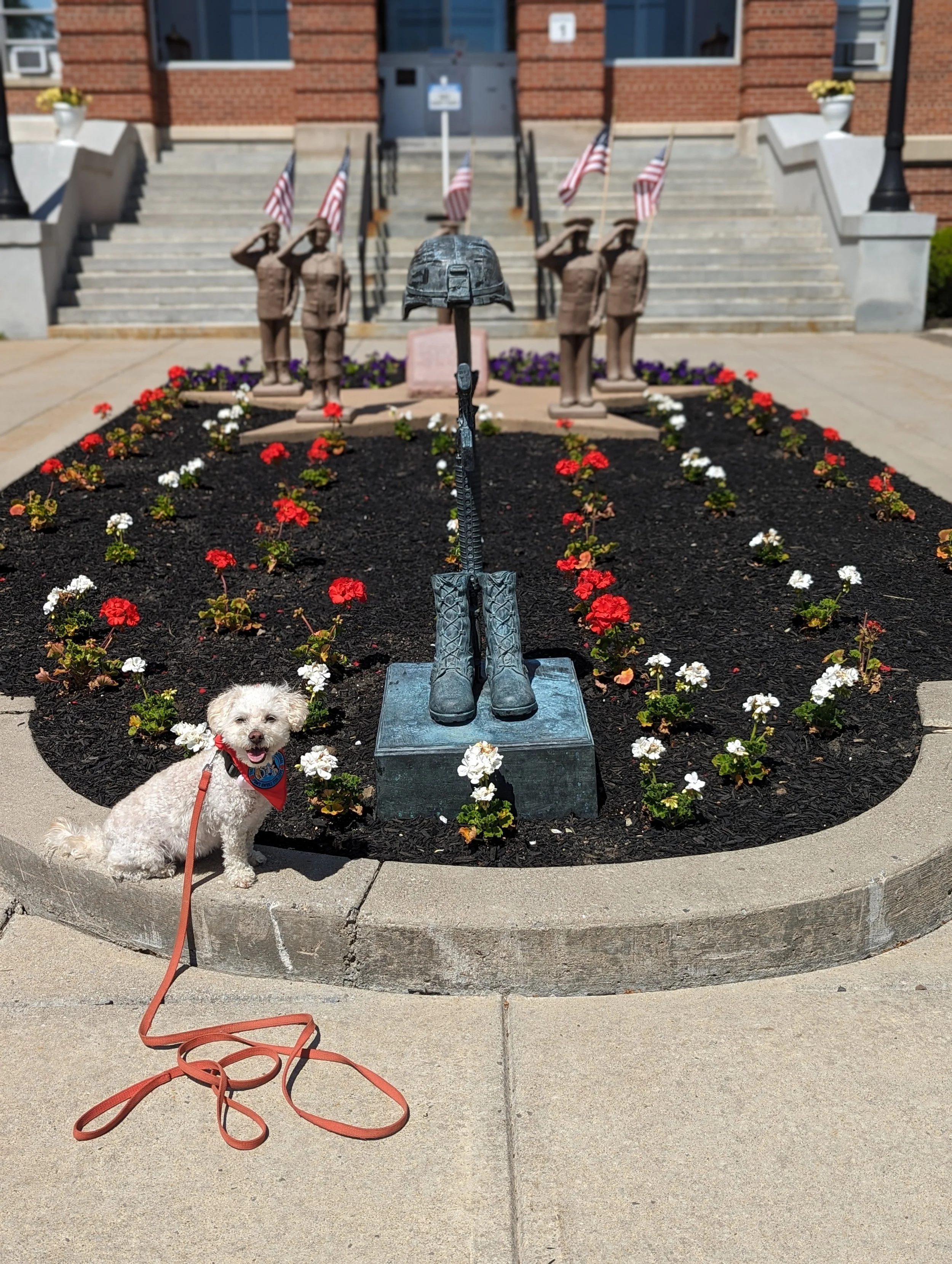 Riley visiting the Batavia, NY VA Senior Living and Rehab Lodges.