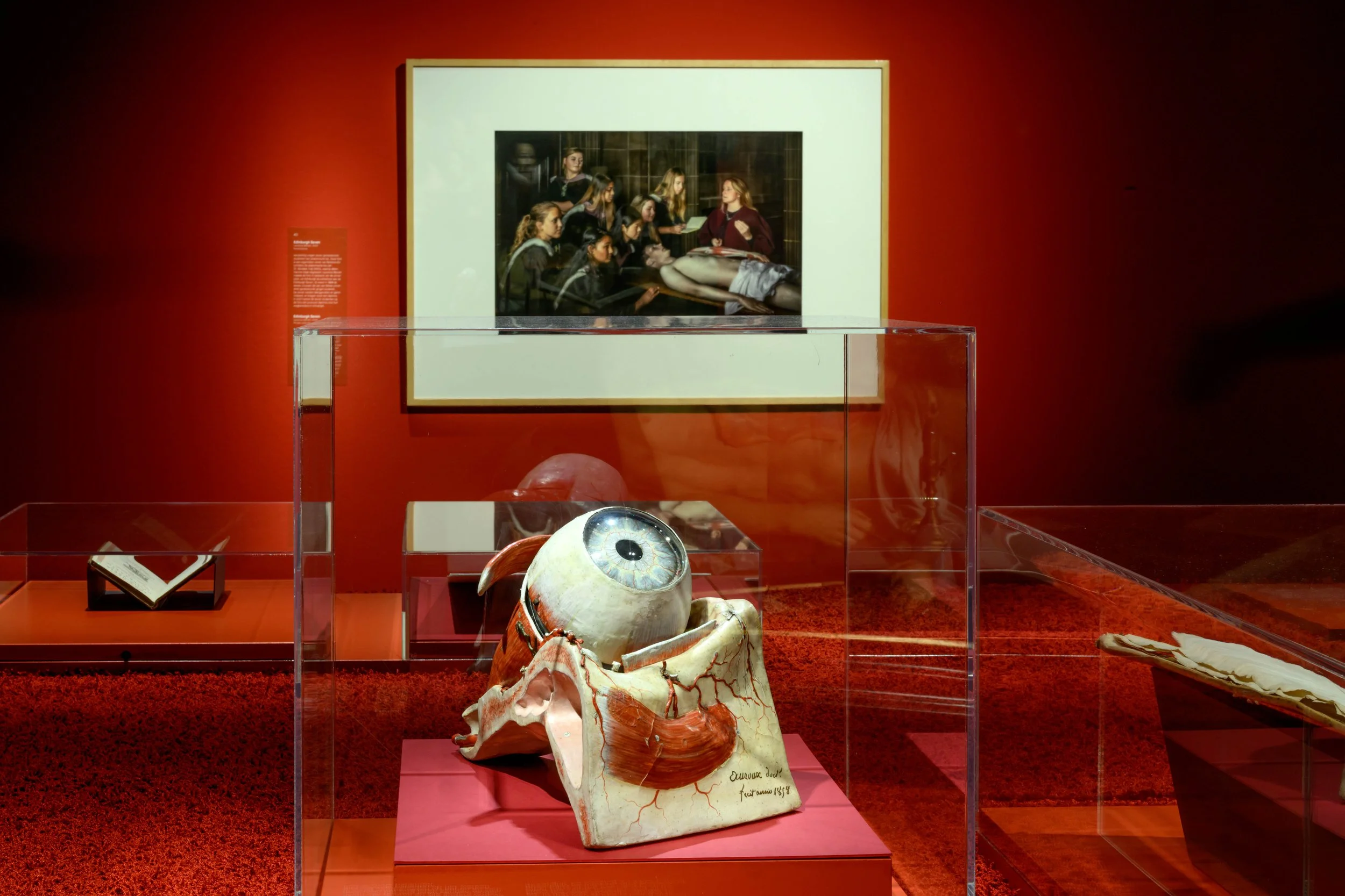 Schepping van de wetenschap_17.jpg