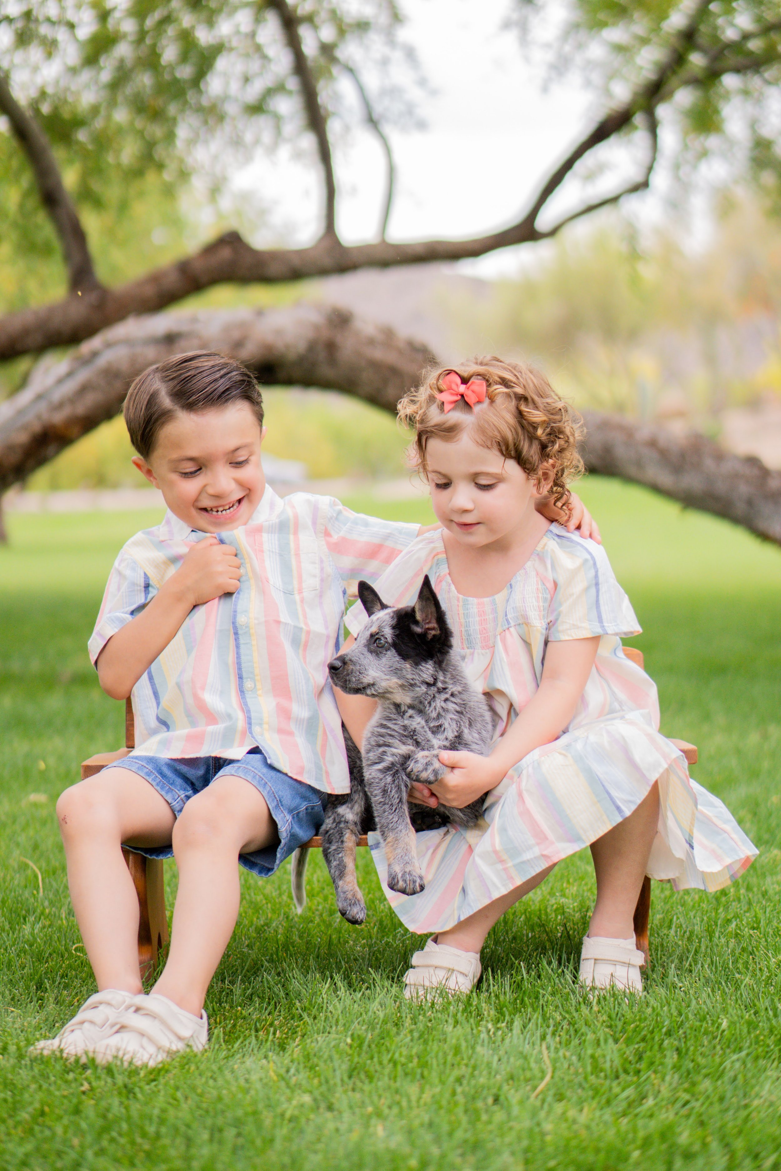 Two children, a boy and a girl, sitting on a wooden chair outdoors in a grassy area under a large tree, holding a black and white puppy.
