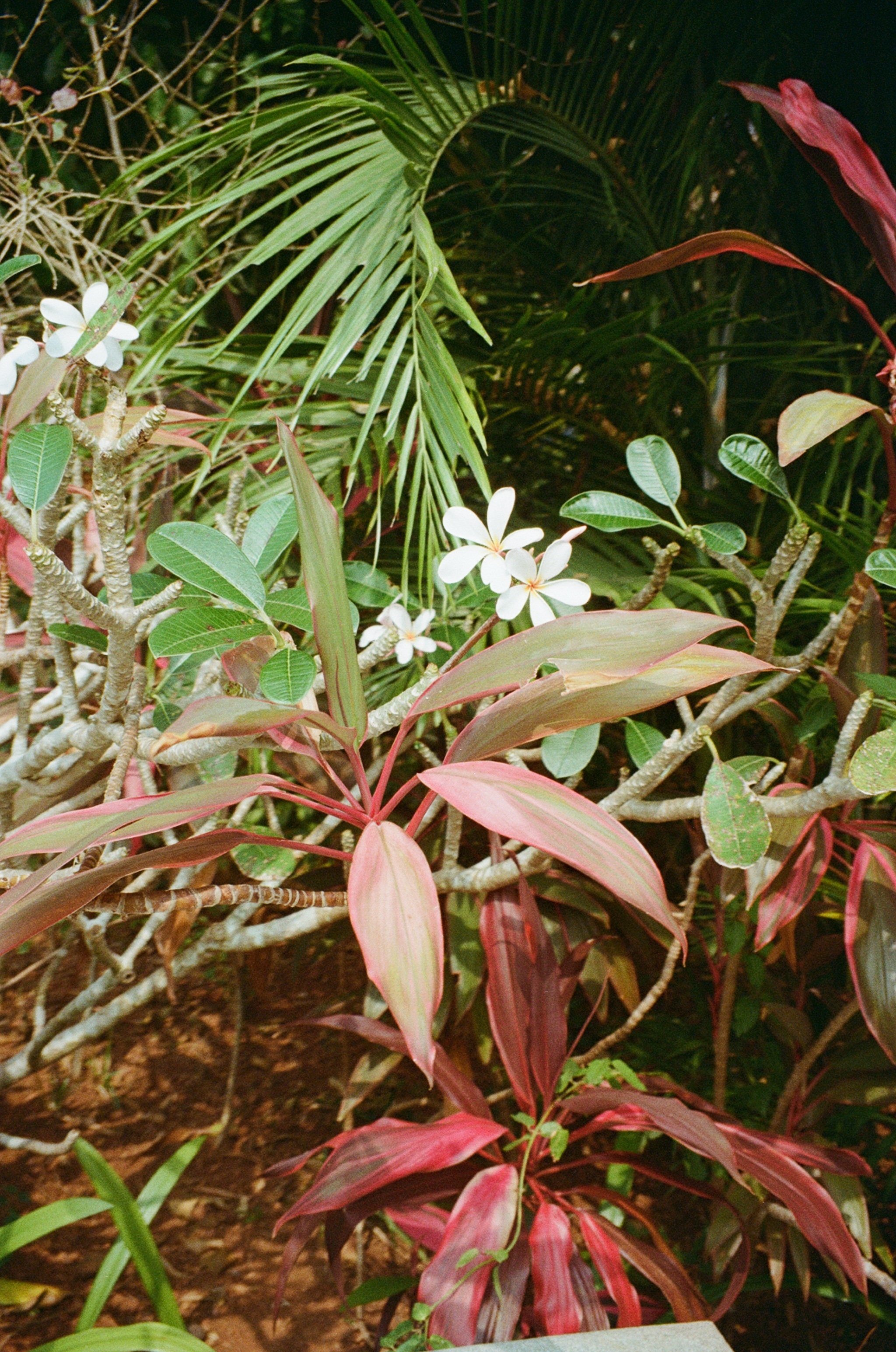 Gokarna, India
