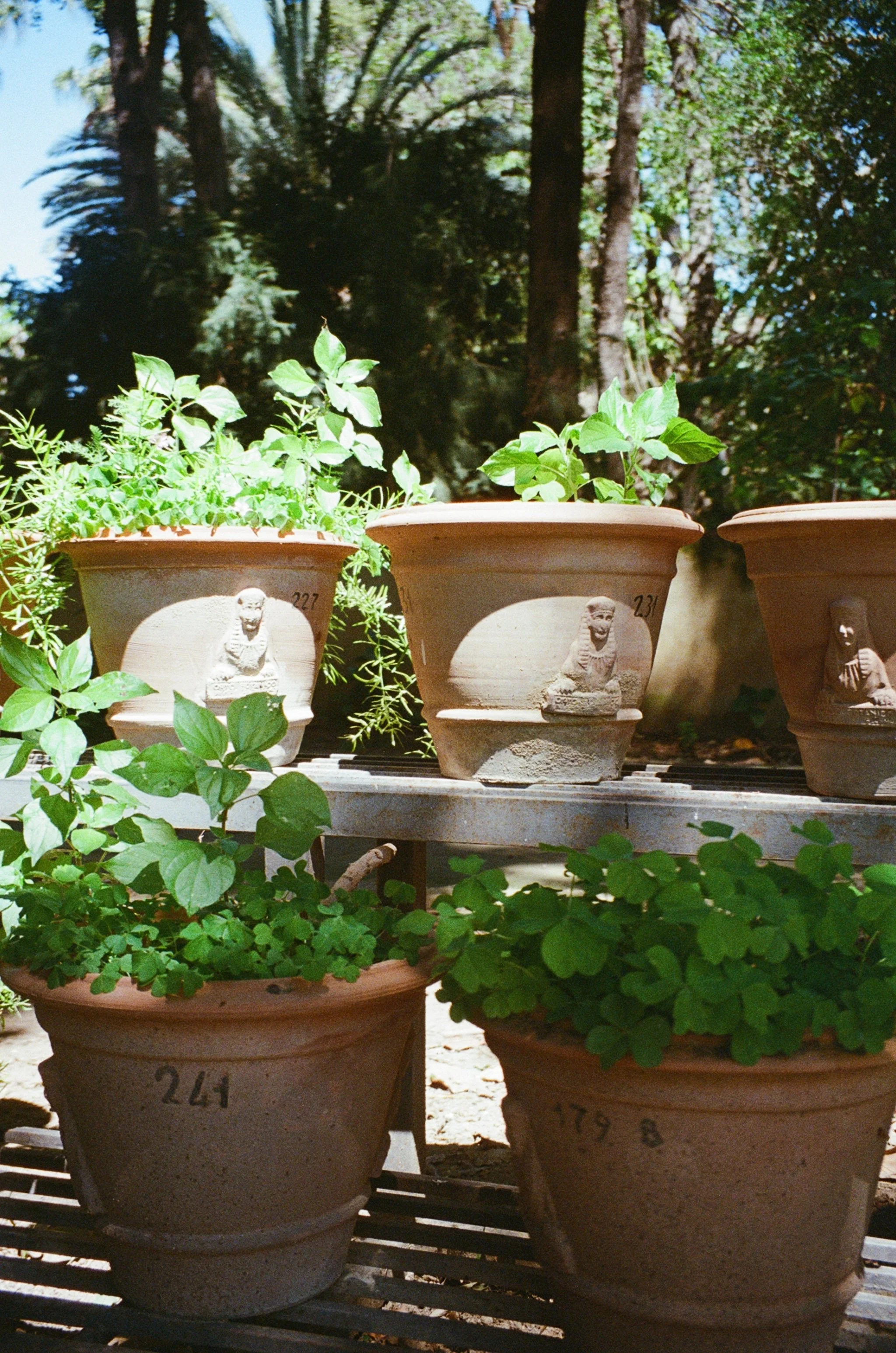 Palermo, Sicily