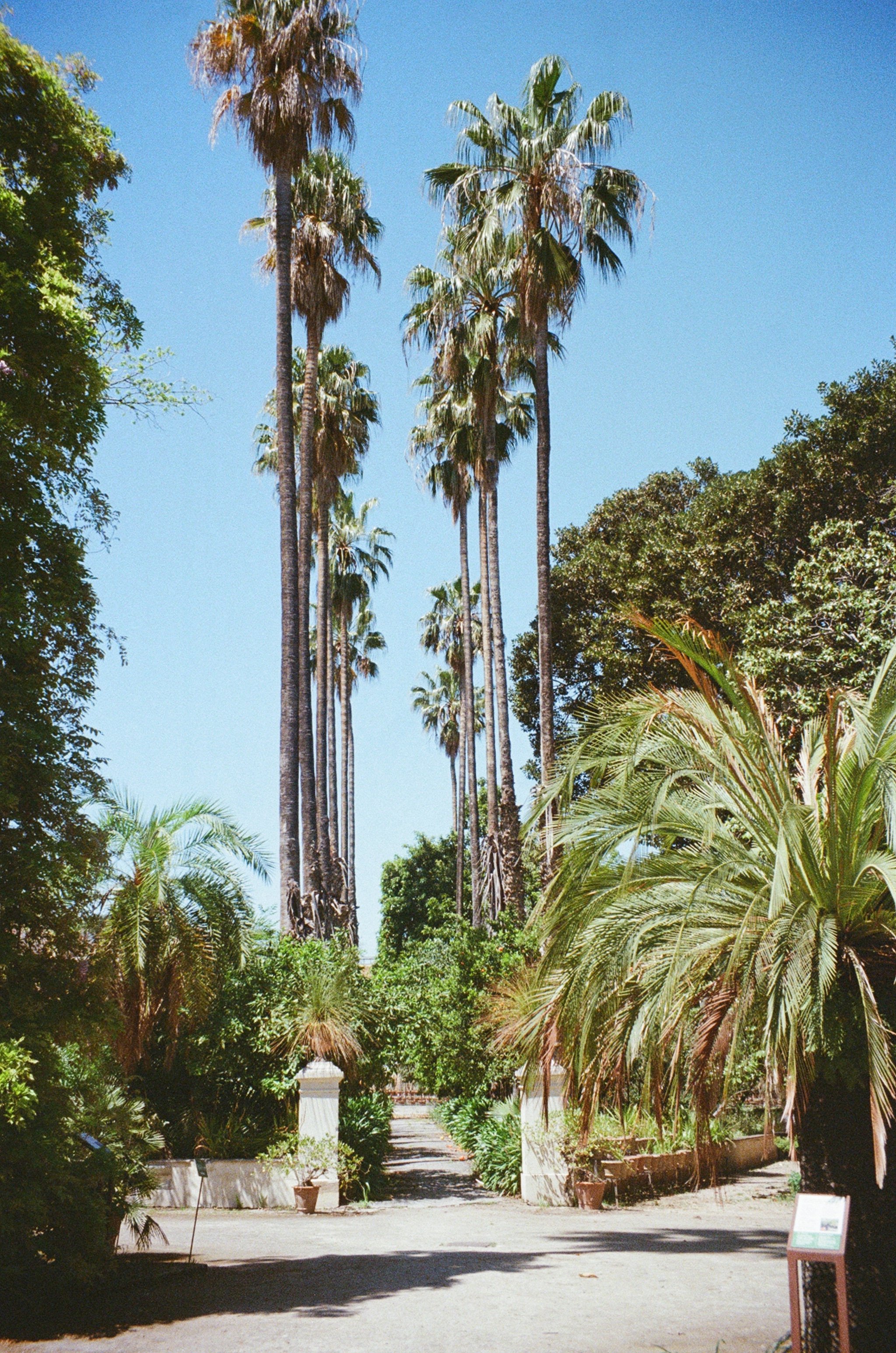 Palermo, Sicily