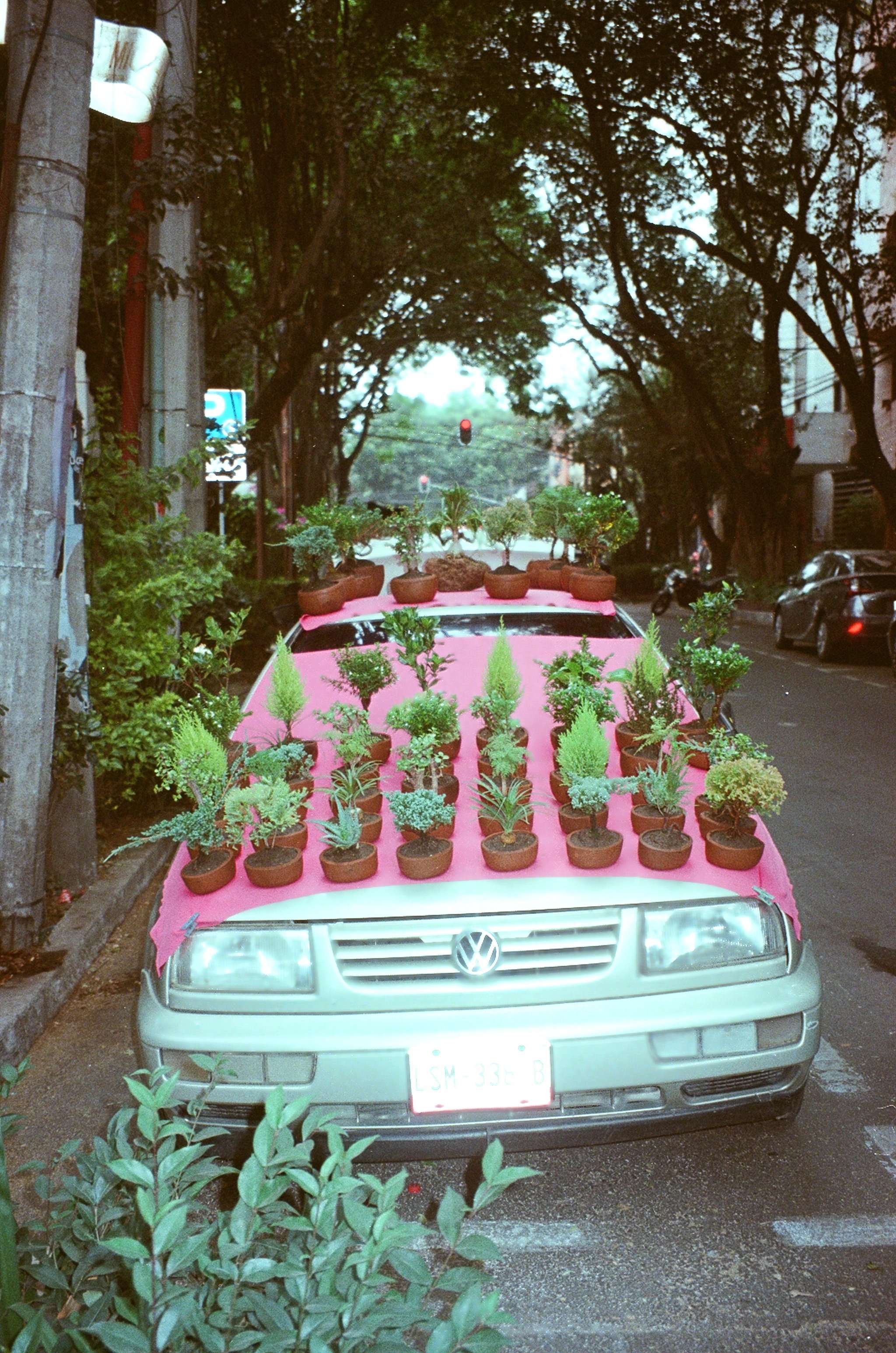 La Condesa, CDMX