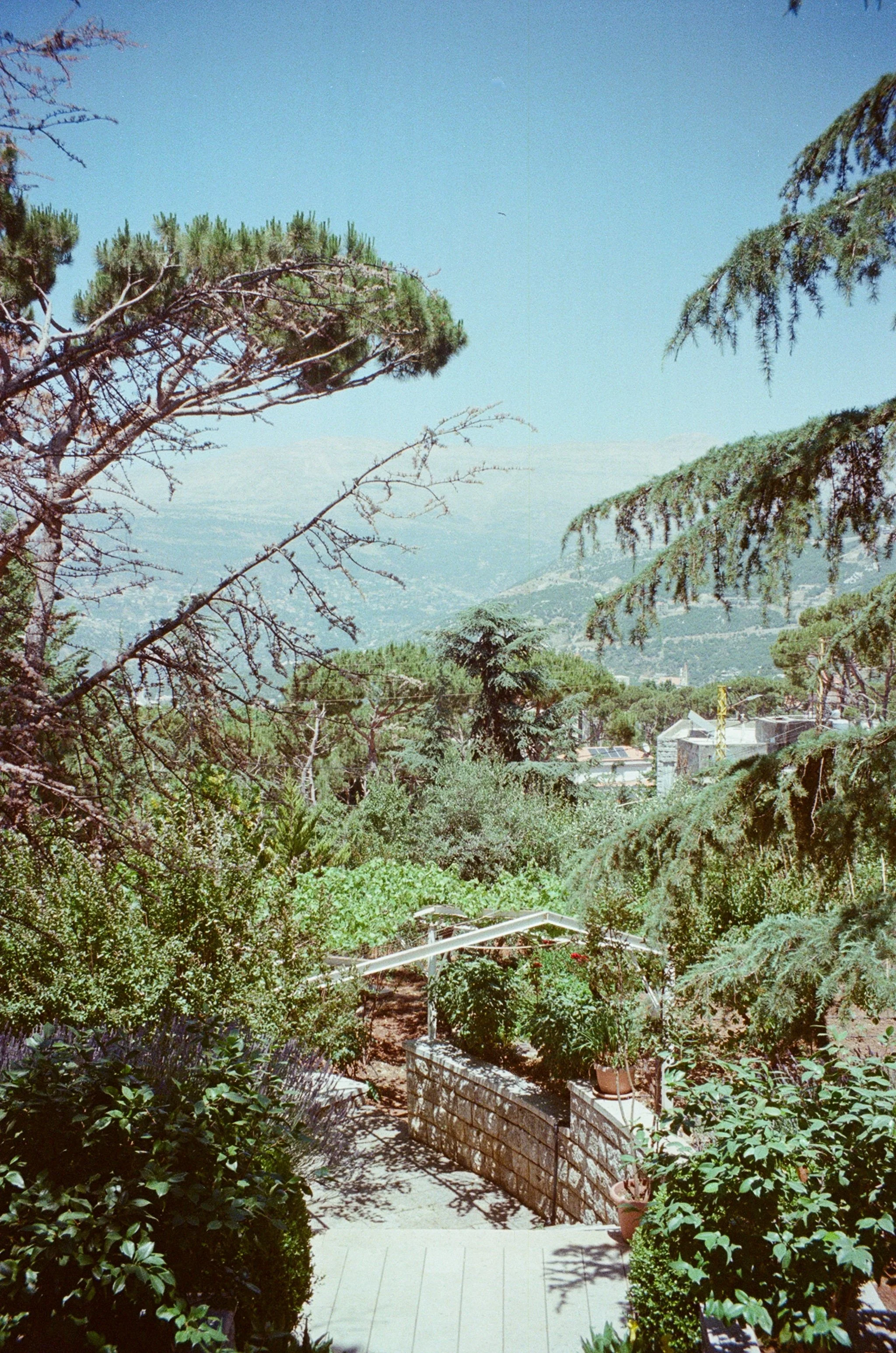 Bolonia, Lebanon