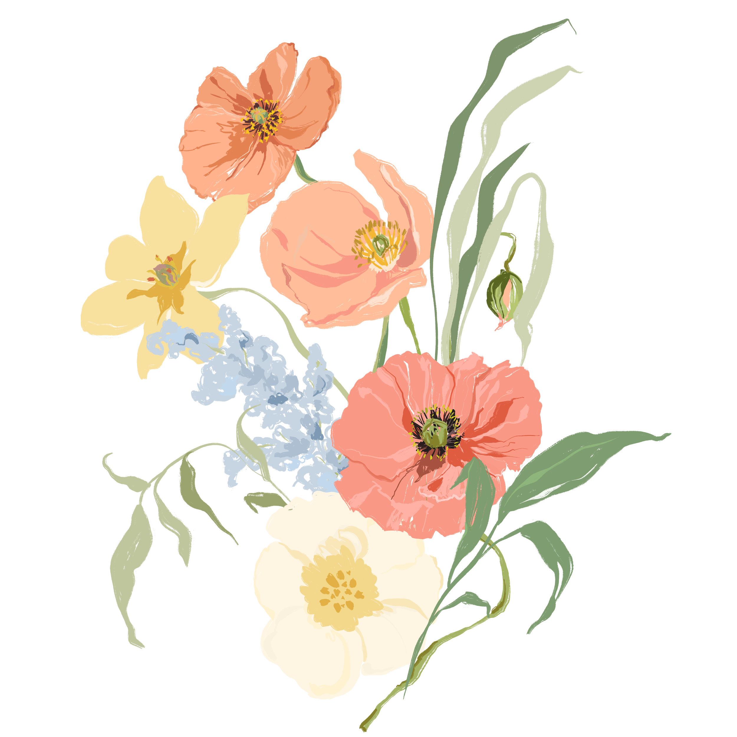Illustration of various poppy flowers in soft pastel colors.