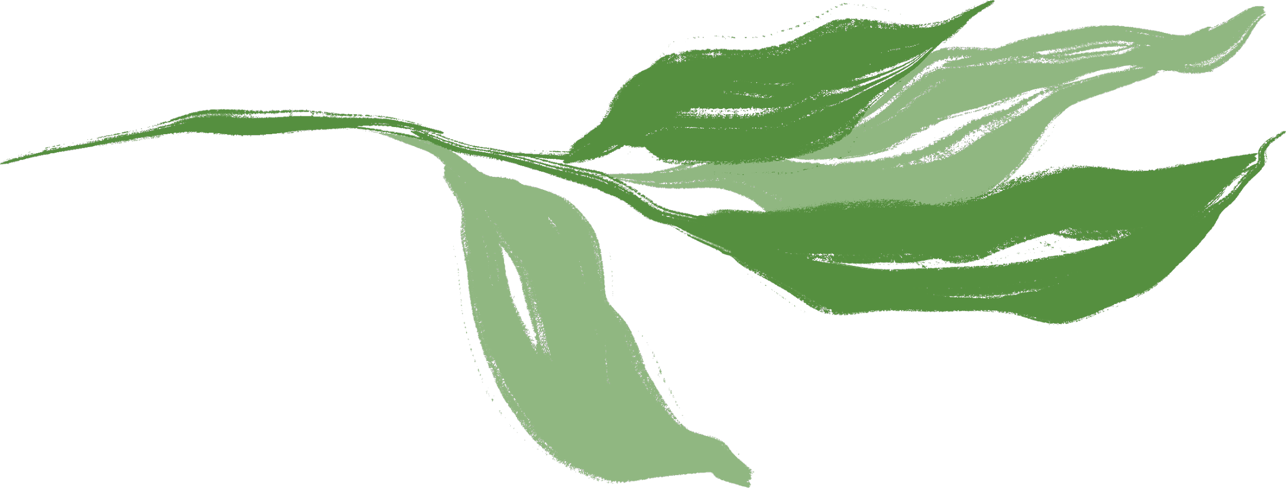 Illustration of green leaves with a pink framing element.