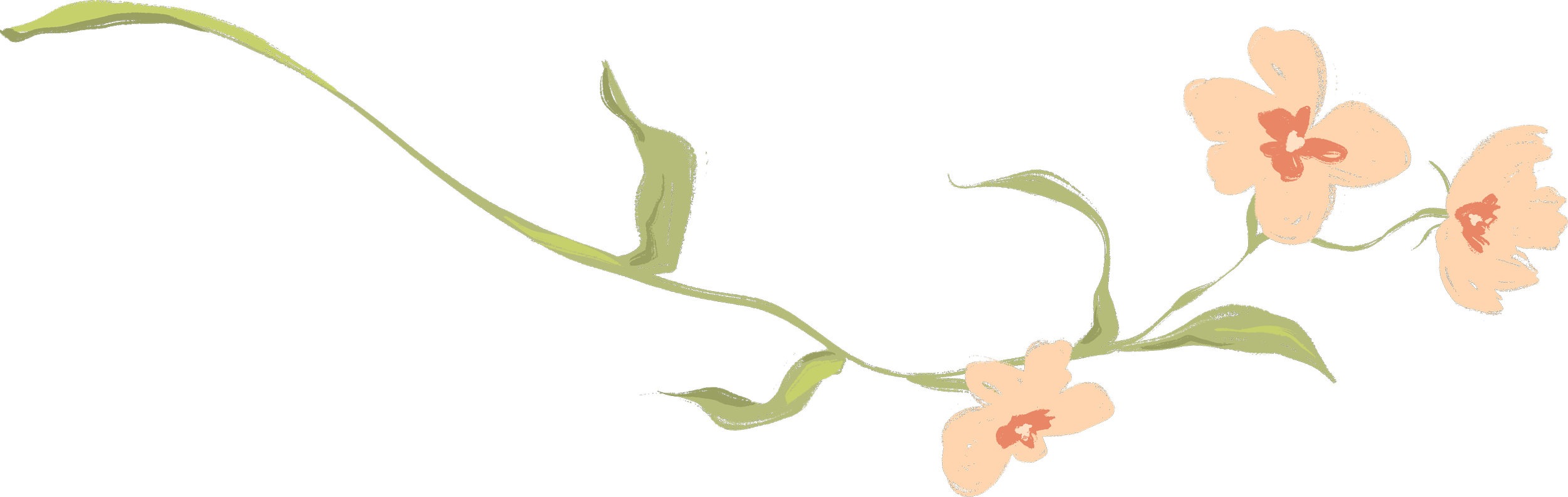 A digital illustration of a green vine with beige flowers.
