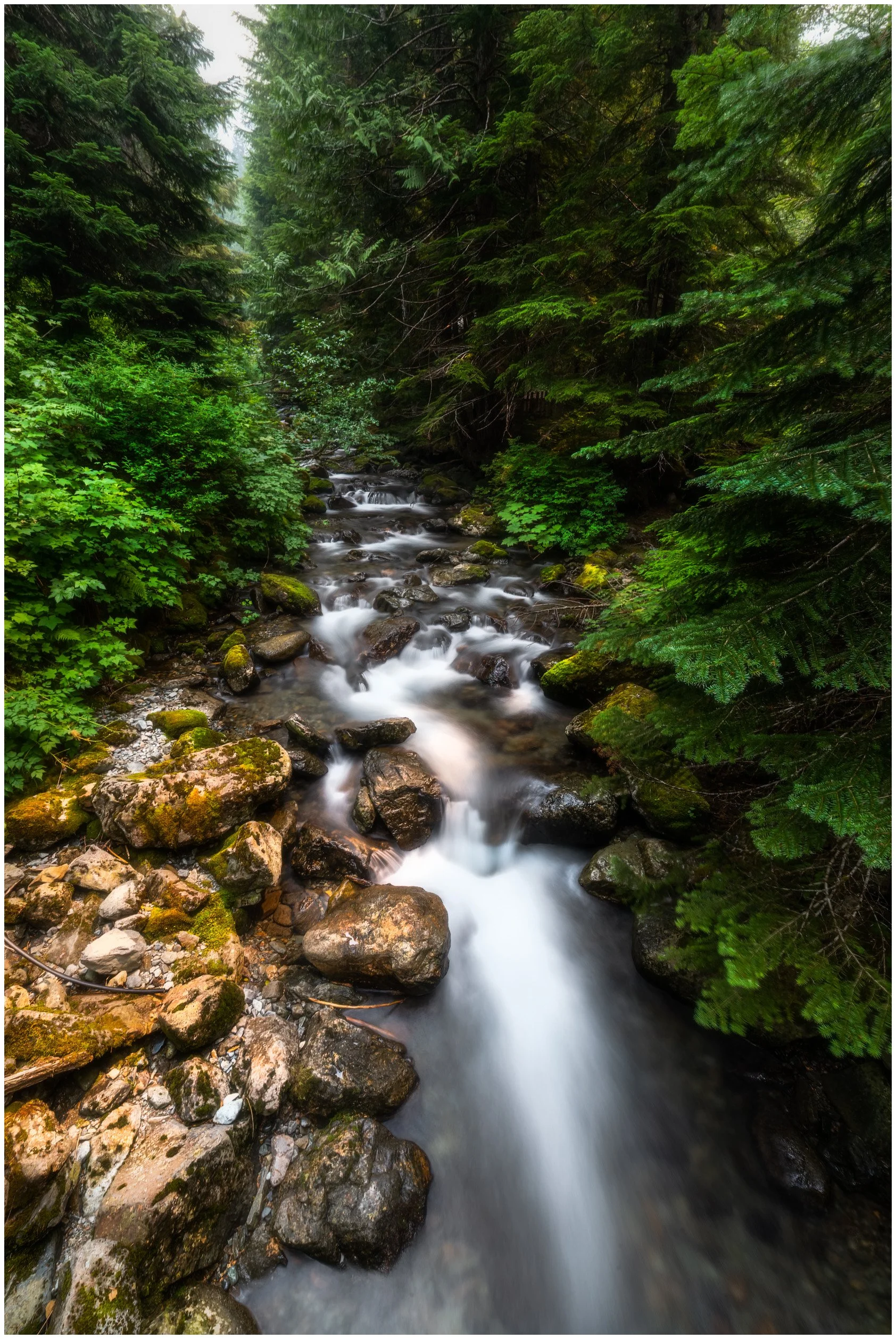 Nature-16_bordered.jpg