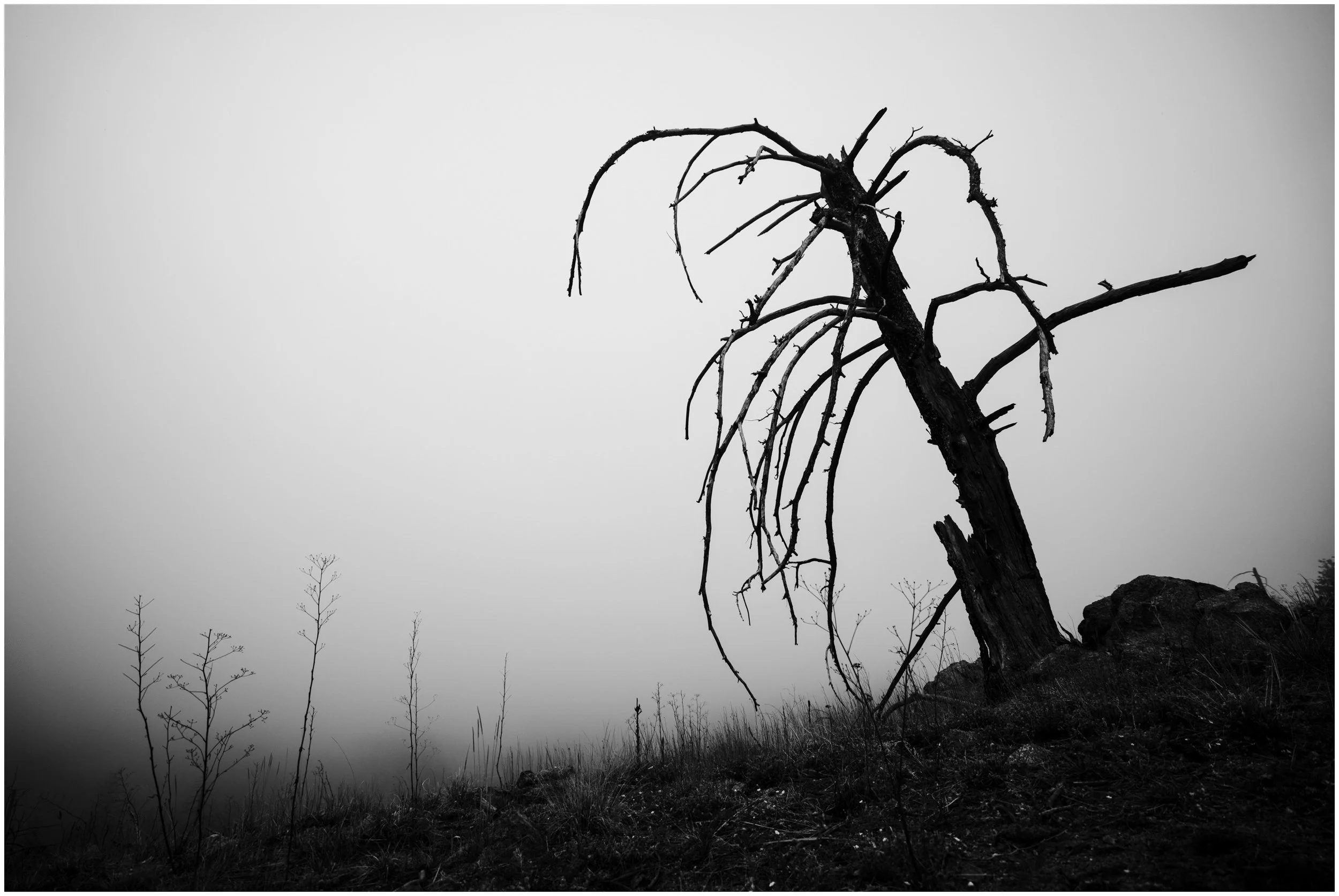 Nature-19_bordered.jpg