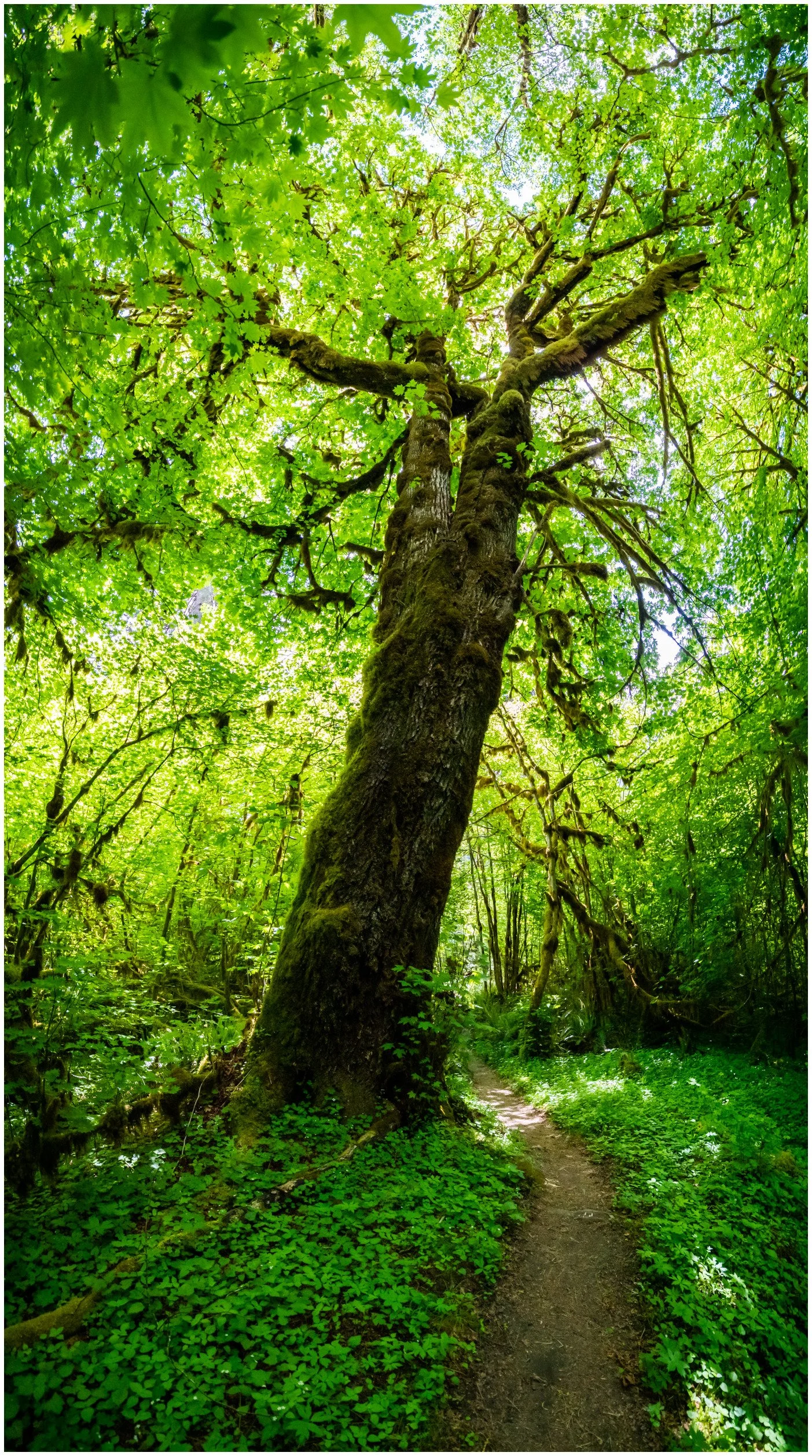 Nature-17_bordered.jpg