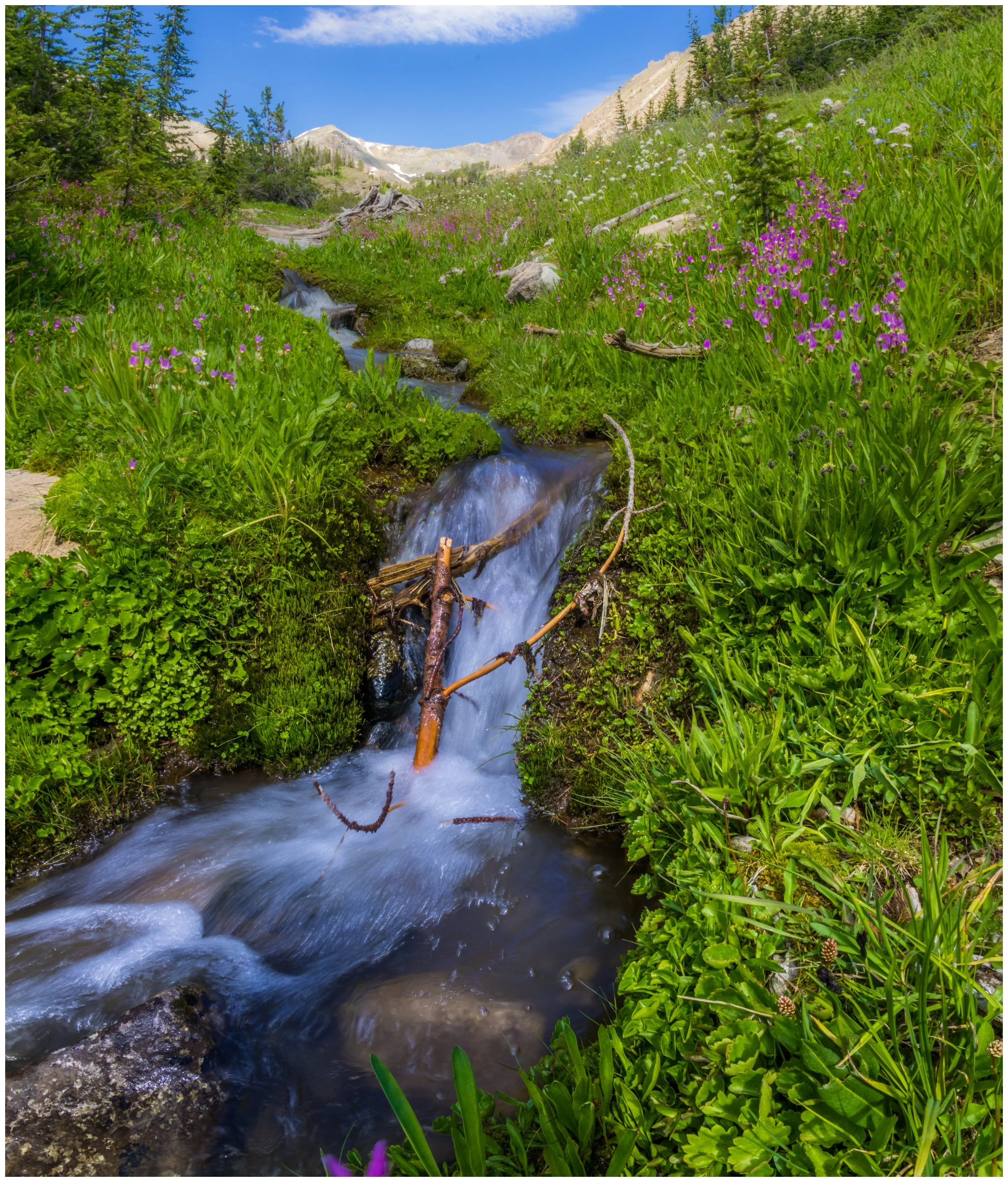 Nature-2_bordered.jpg